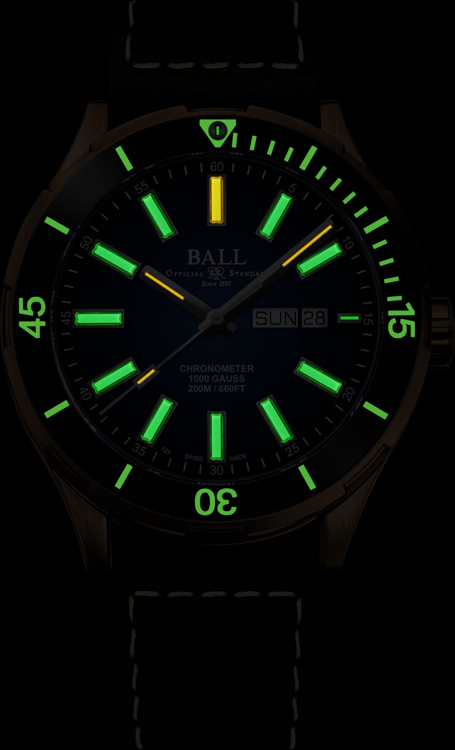 BALL Roadmaster Marvelight Bronze - View 2