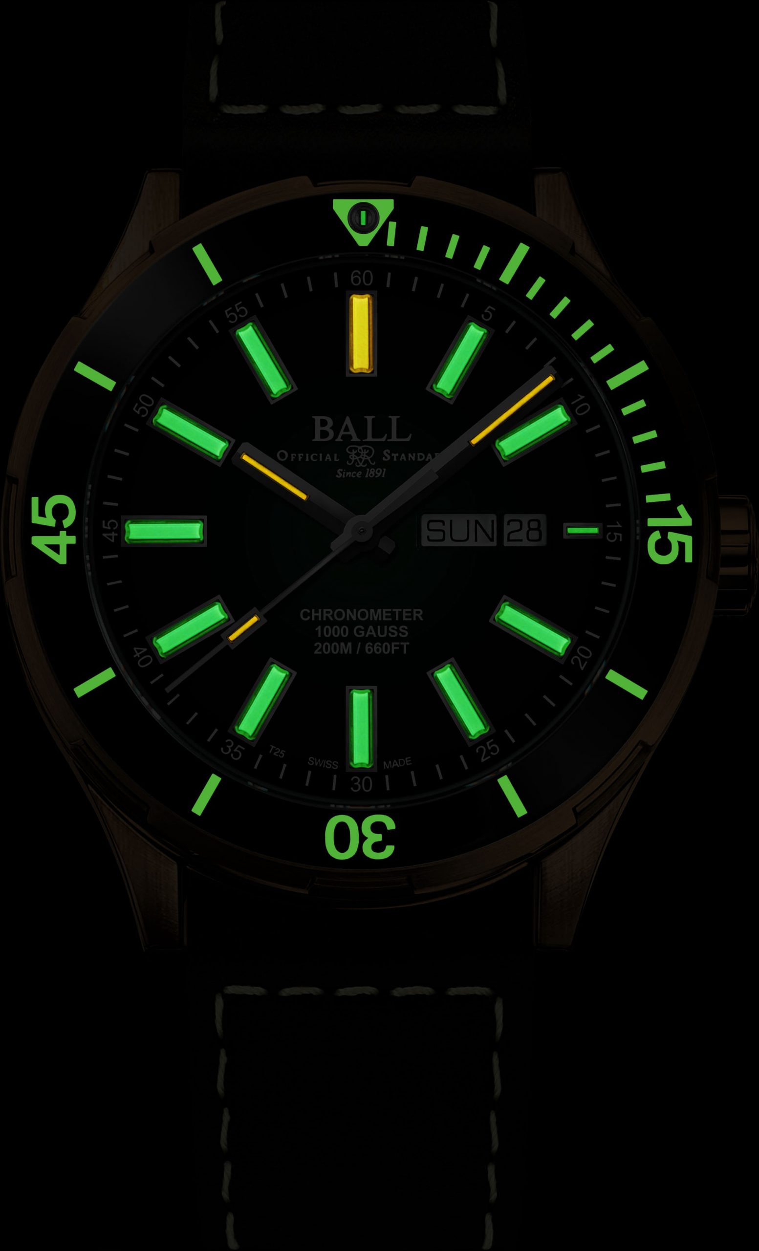BALL Roadmaster Marvelight Bronze - View 2