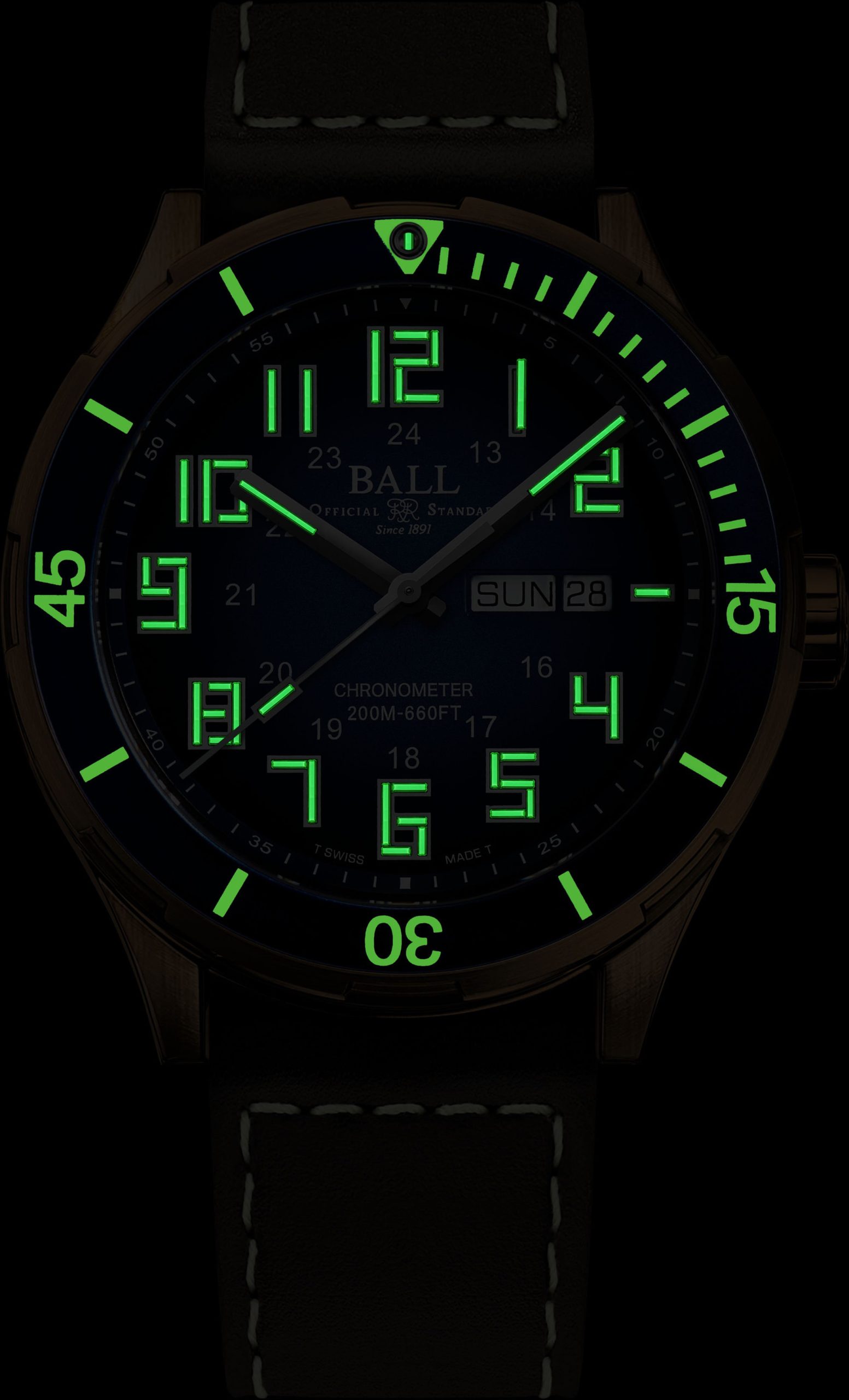 BALL Roadmaster StarLight Bronze - View 2