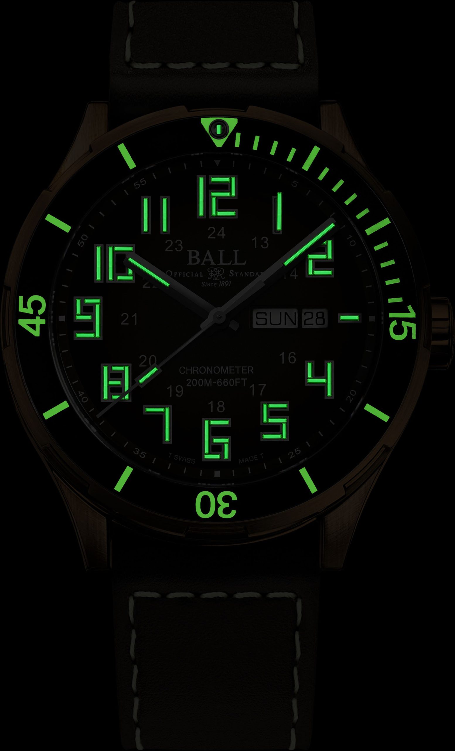 BALL Roadmaster StarLight Bronze - View 2