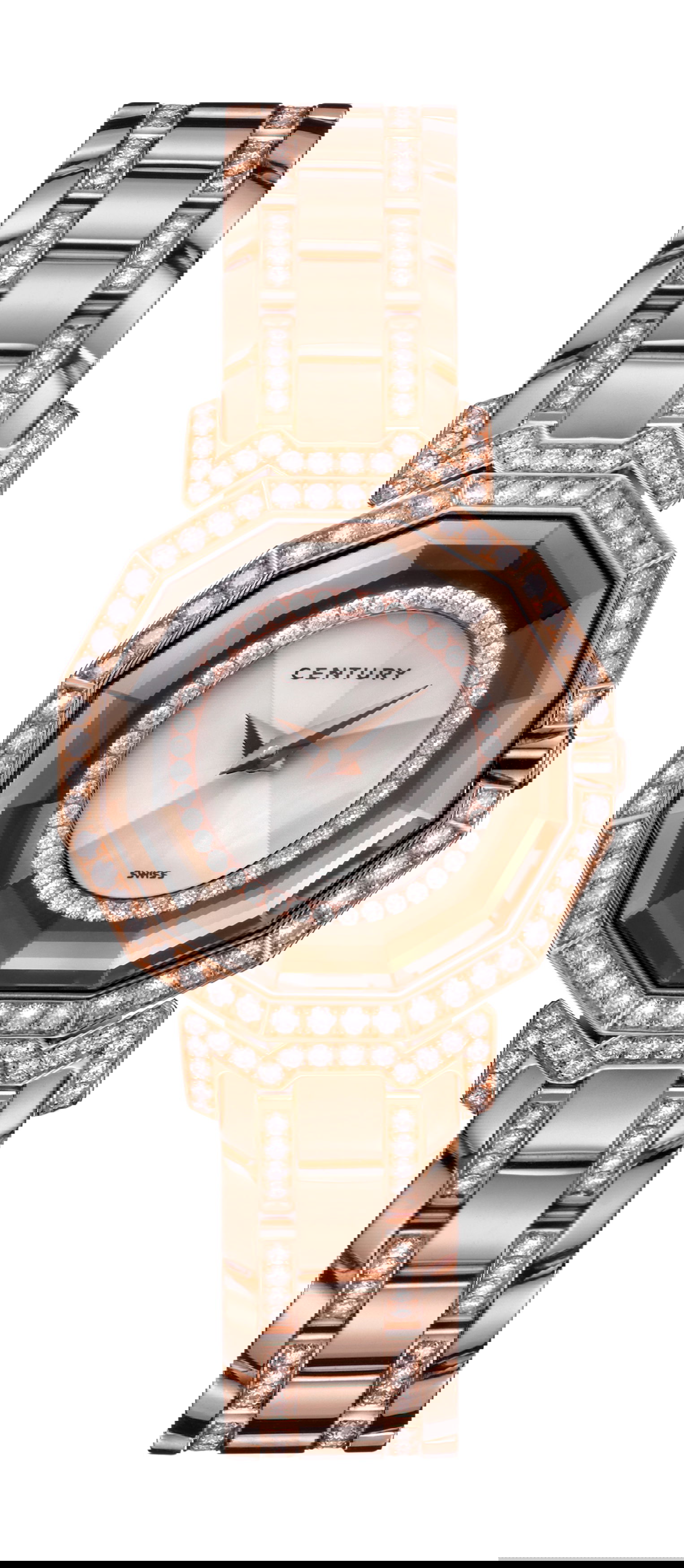 Century Dragon Stone luxury timepiece - detailed view