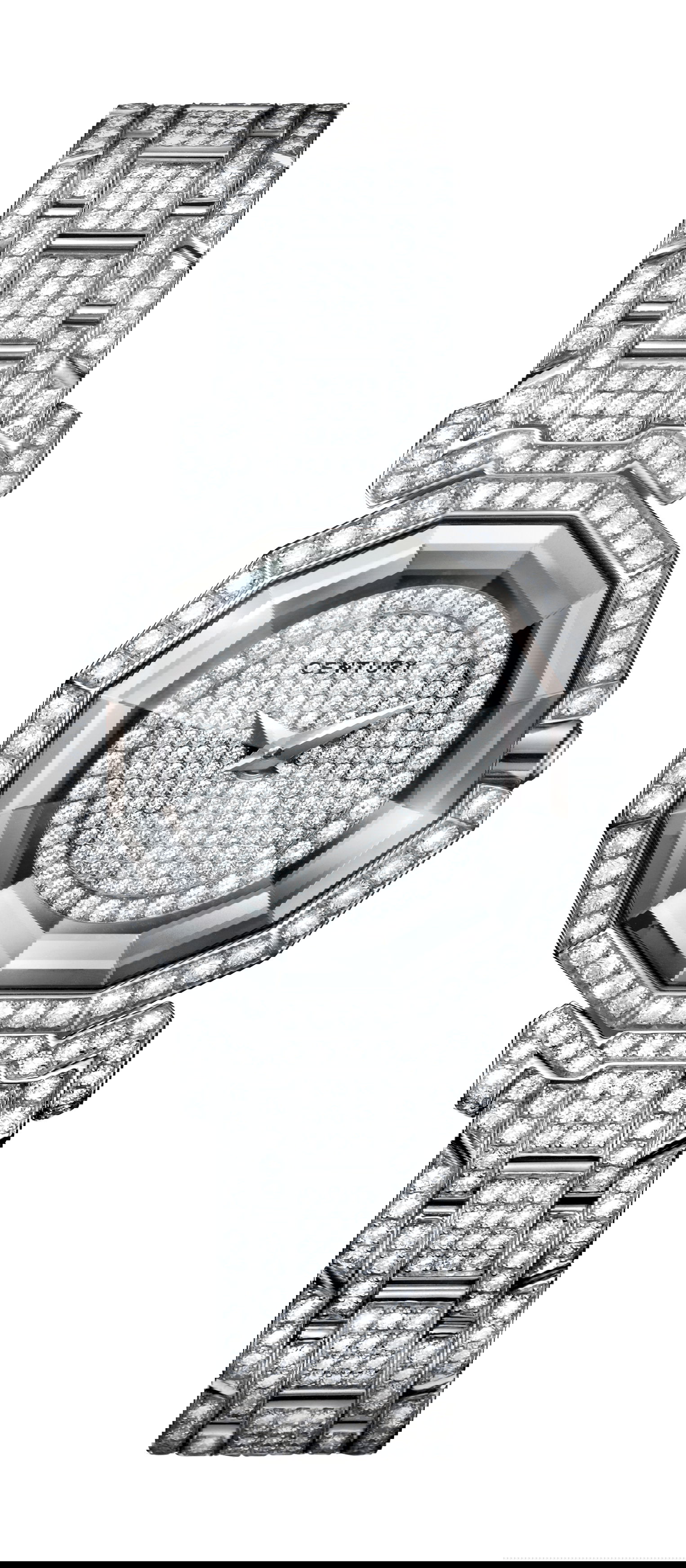 Century Dragon Stone luxury timepiece - detailed view