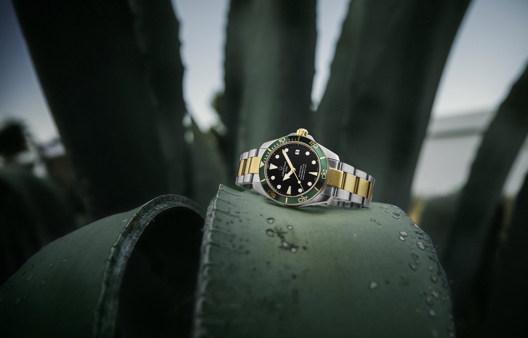 Certina DS Action Diver - View 2