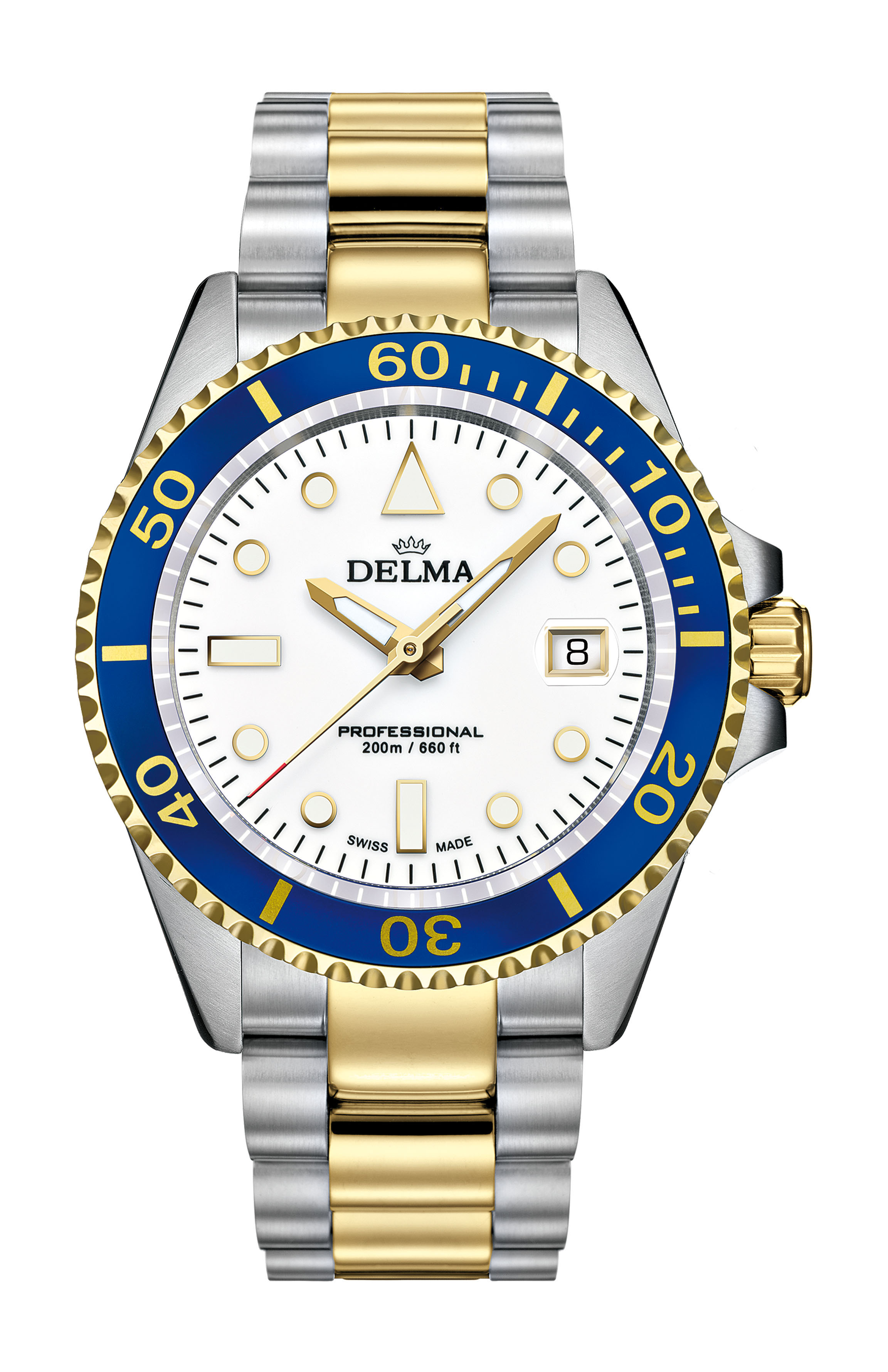 Delma Commander luxury timepiece - detailed view