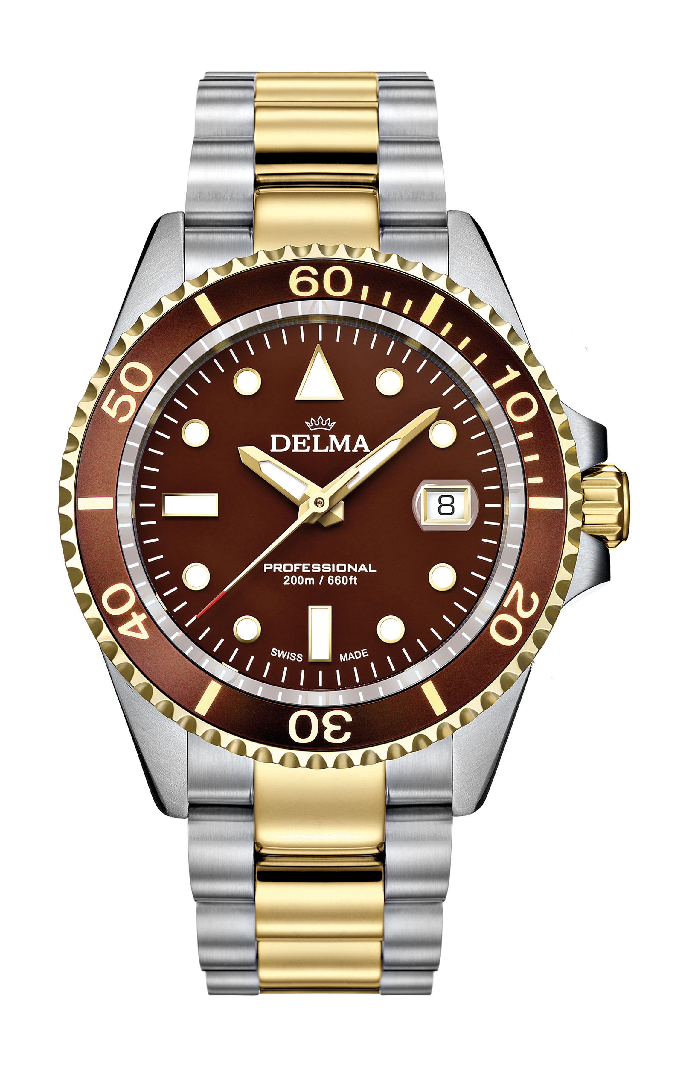 Delma Commander luxury timepiece - detailed view