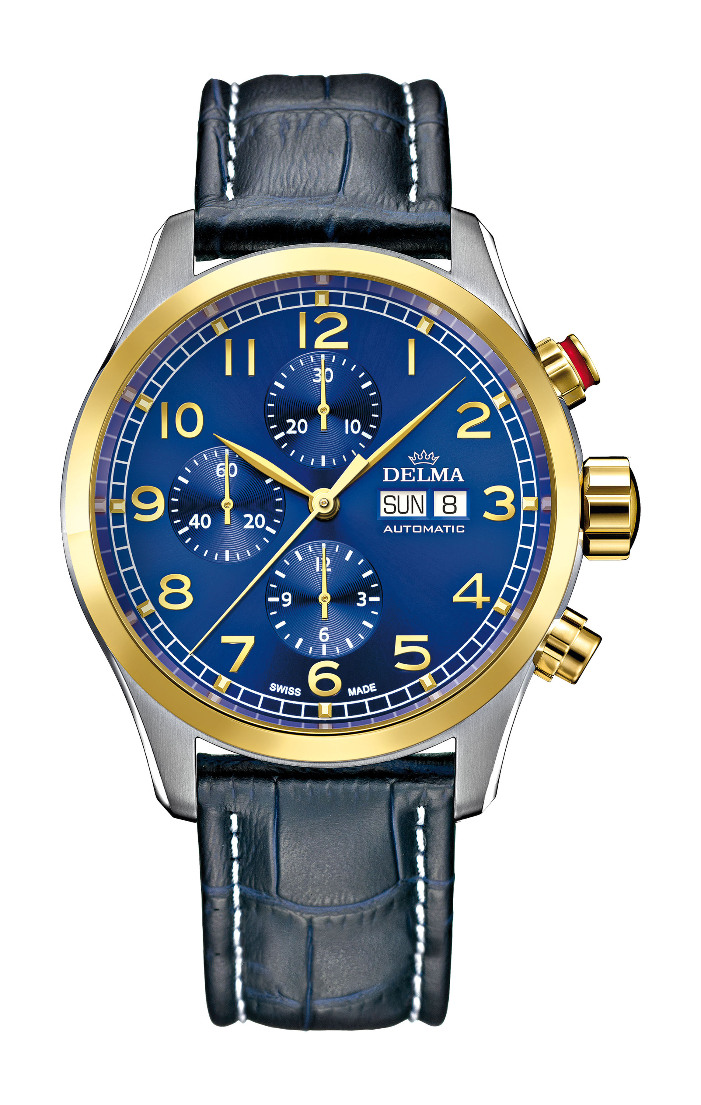 Delma Pioneer Chronograph luxury timepiece - detailed view