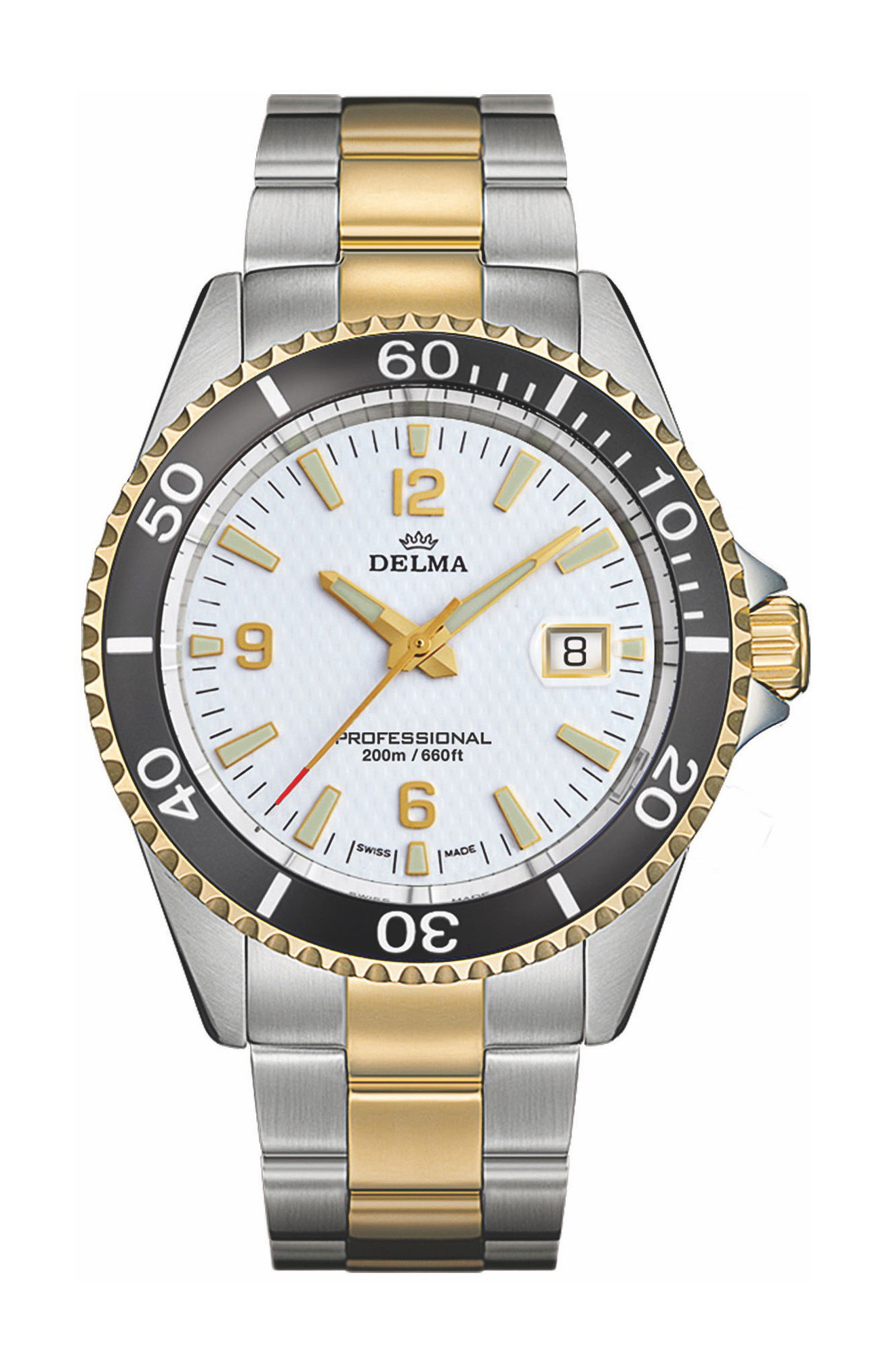 Delma Santiago luxury timepiece - detailed view