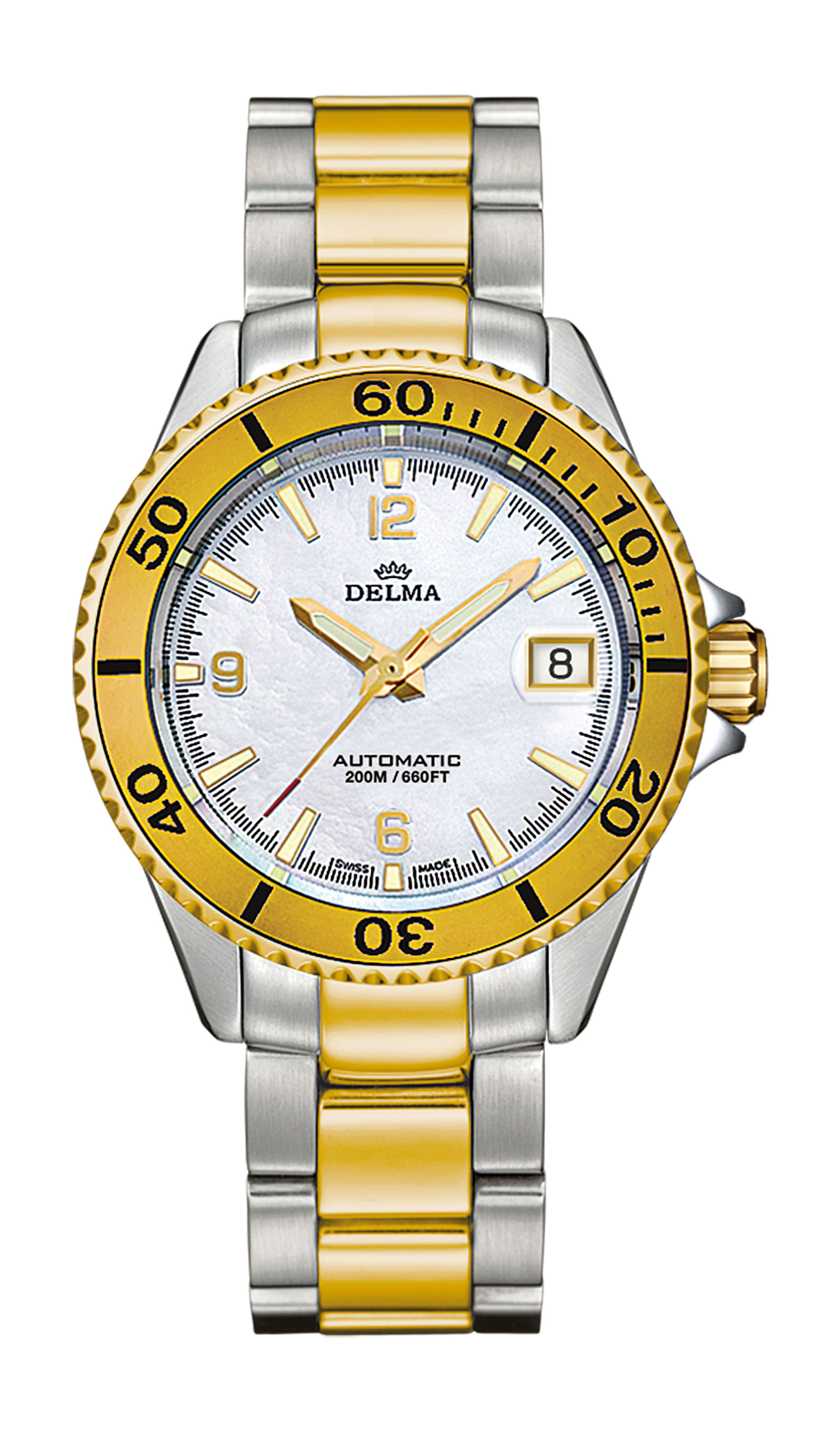 Delma Santiago Ladies Automatic luxury timepiece - detailed view