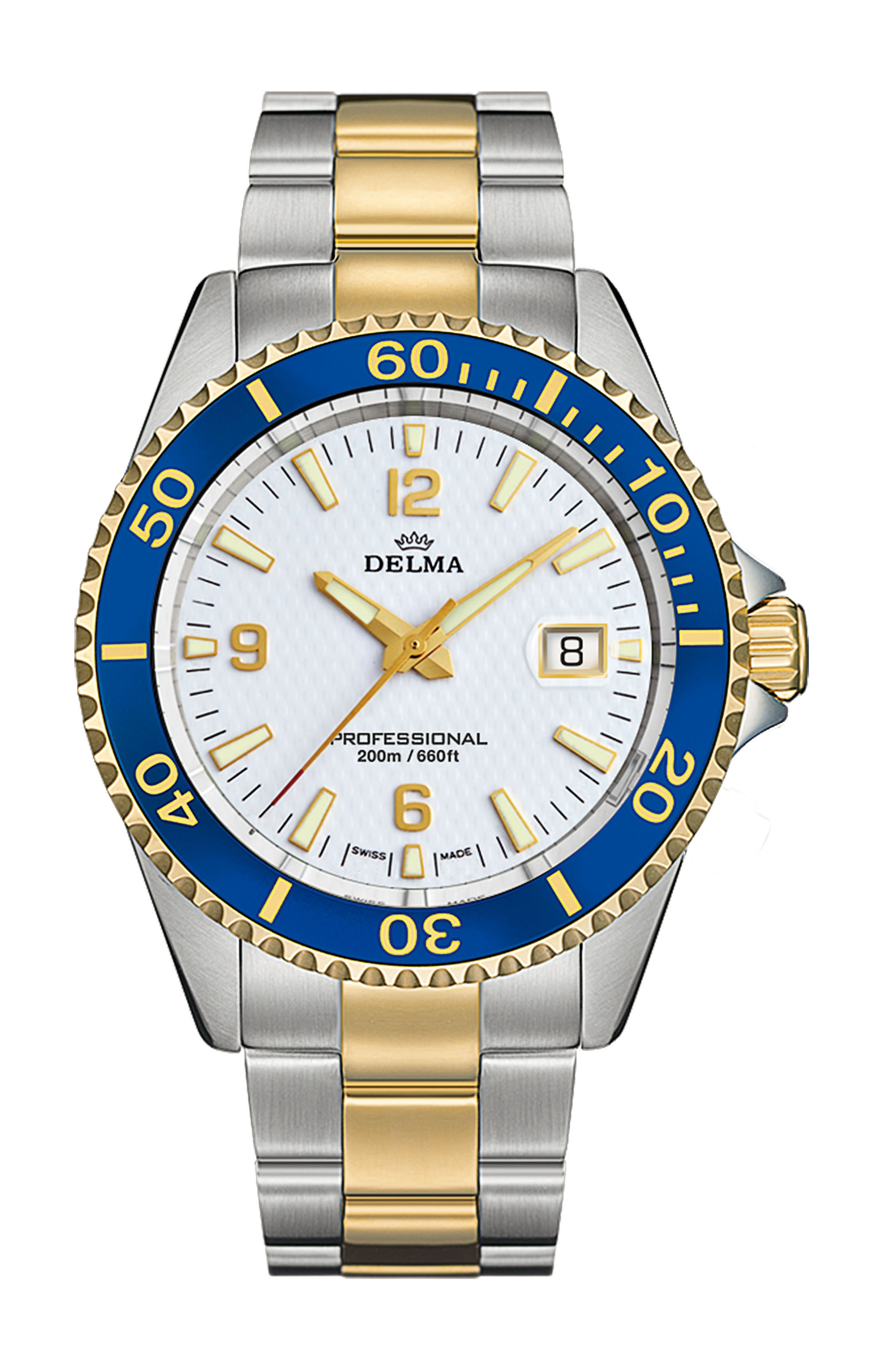 Delma Santiago luxury timepiece - detailed view