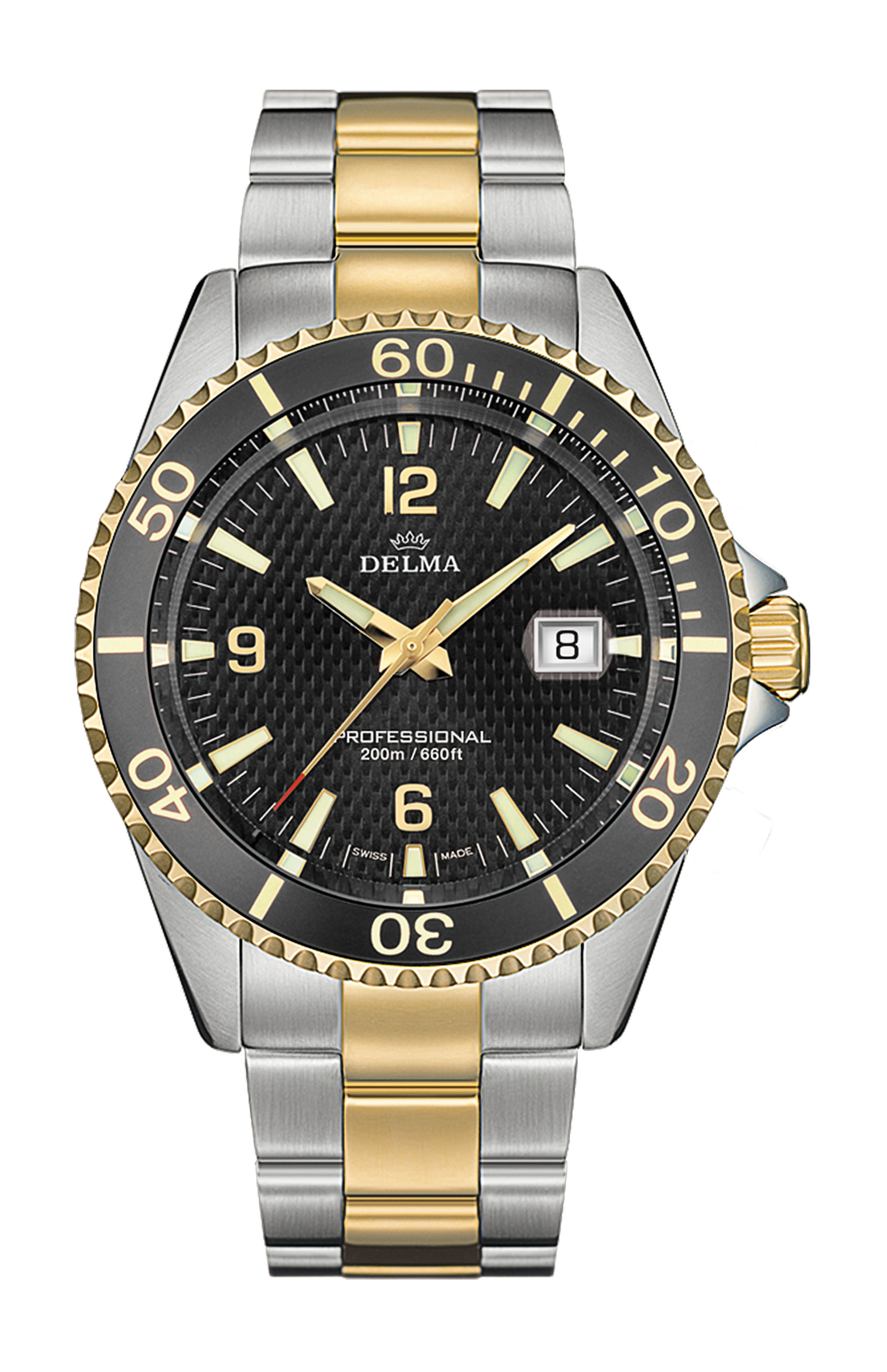 Delma Santiago luxury timepiece - detailed view