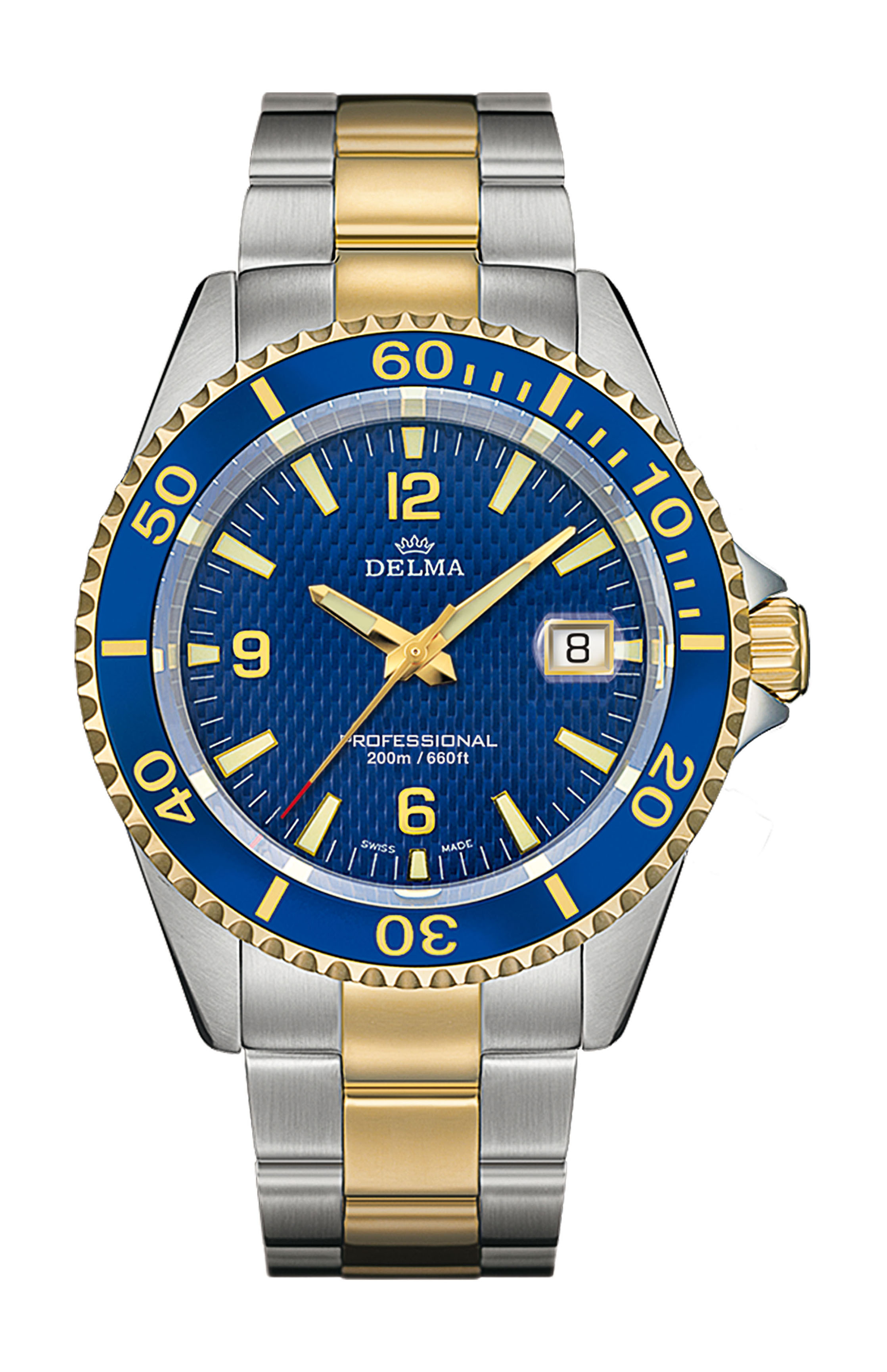 Delma Santiago luxury timepiece - detailed view