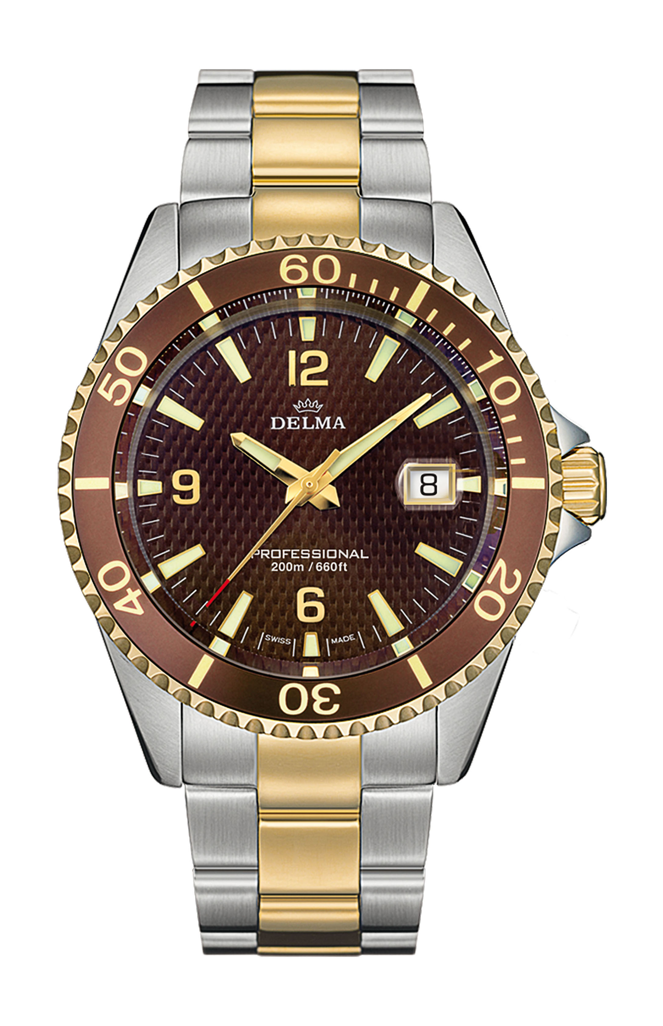 Delma Santiago luxury timepiece - detailed view