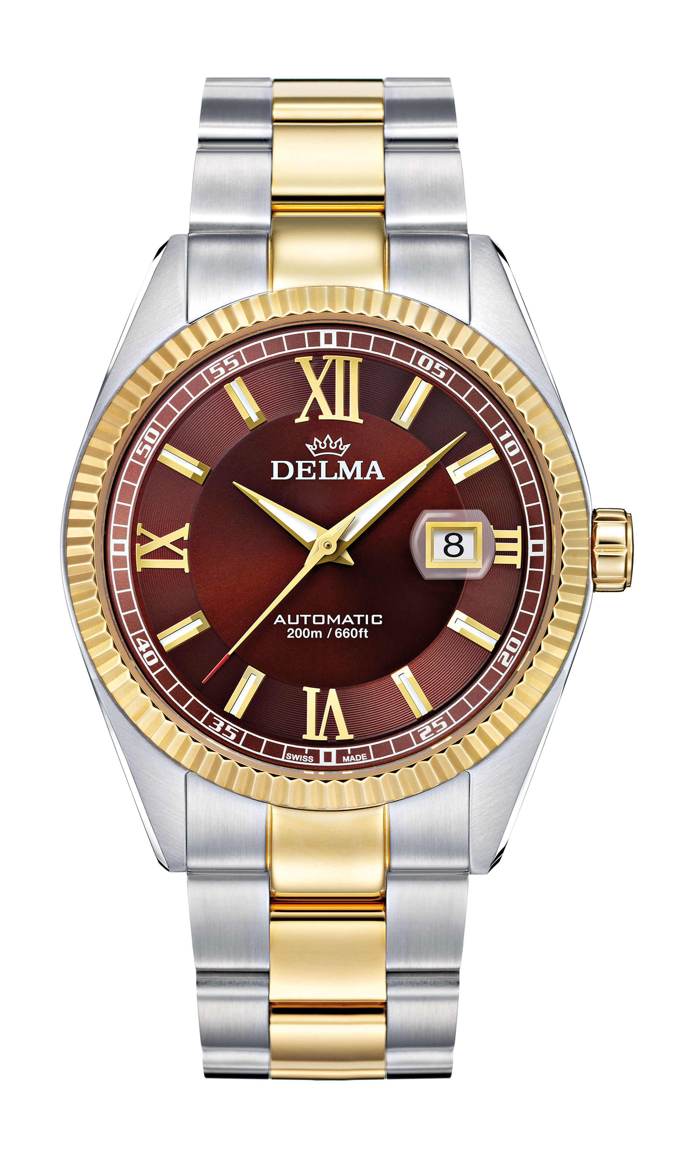Delma Sea Star luxury timepiece - detailed view