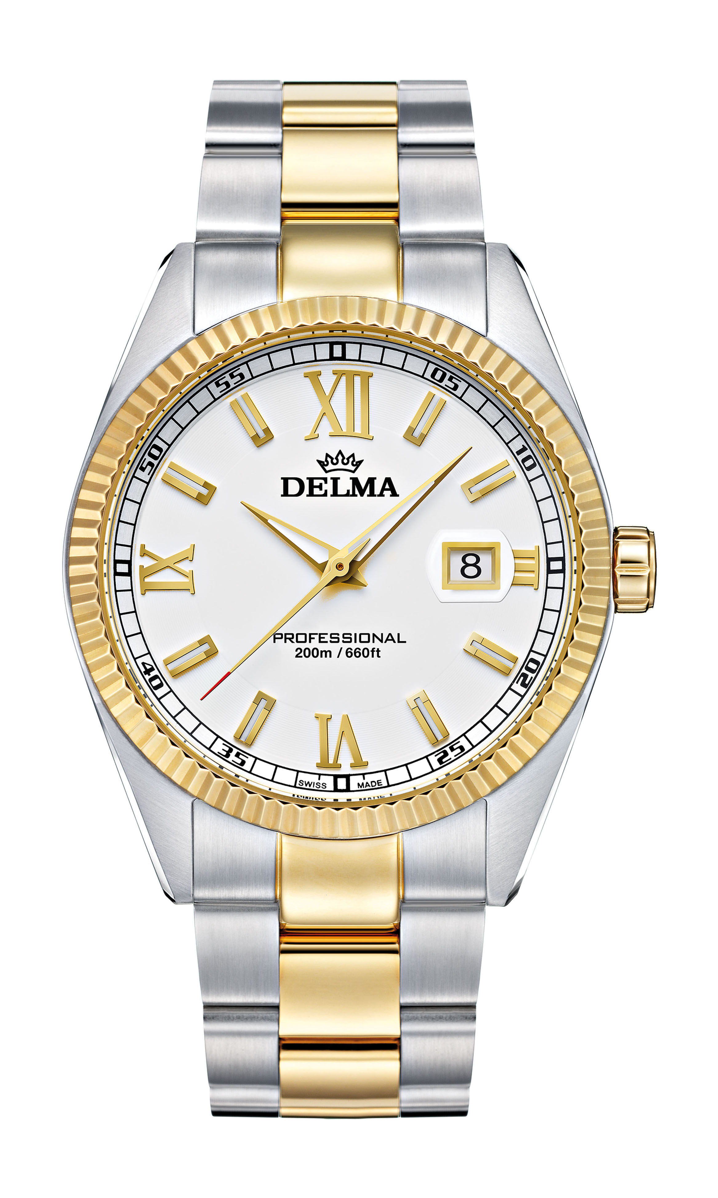 Delma Sea Star luxury timepiece - detailed view