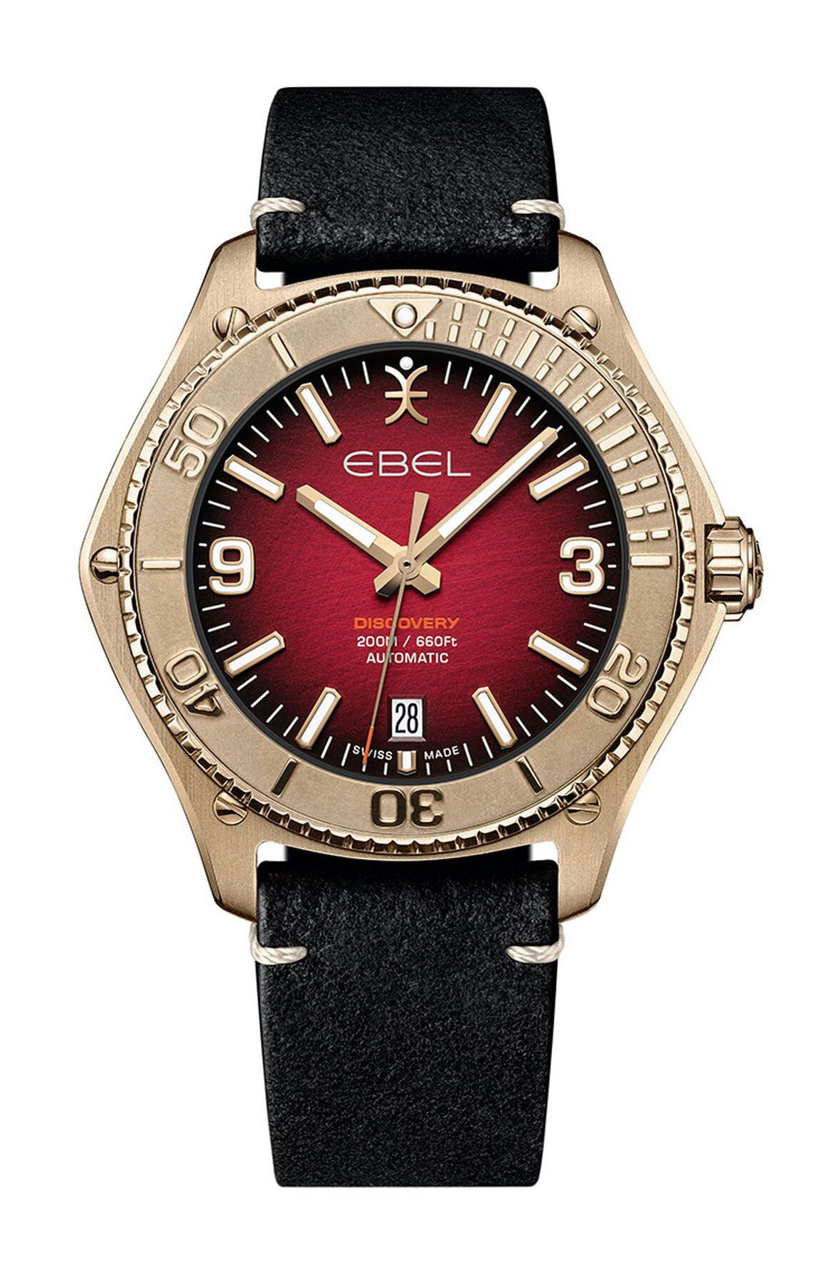 Ebel Discovery luxury timepiece - detailed view
