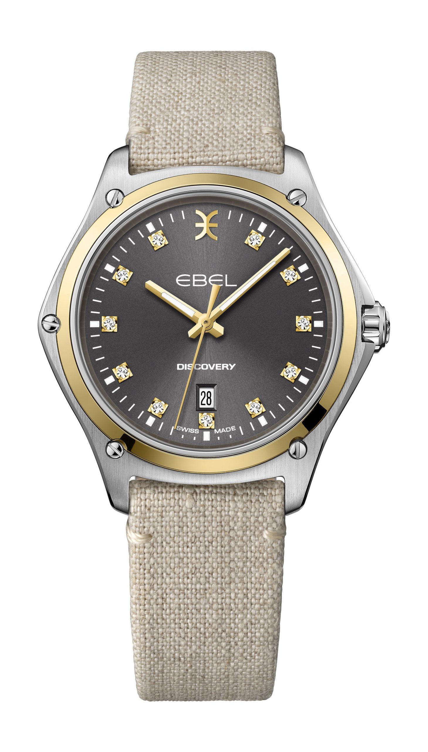 Ebel Discovery - View 2