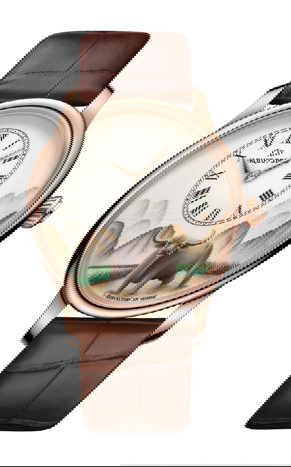 Jaquet Droz Petite Heure Minute Relief Buffalo luxury timepiece - detailed view