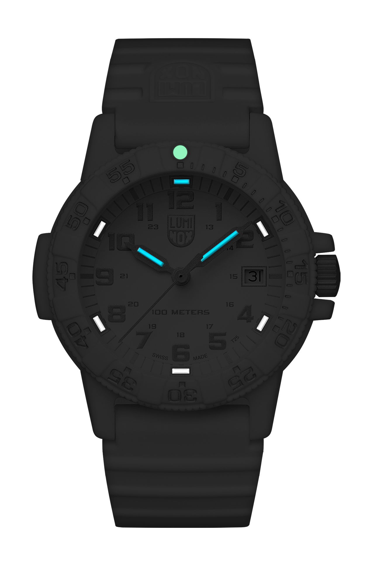 Luminox Leatherback Sea Turtle 0300 Series - View 2