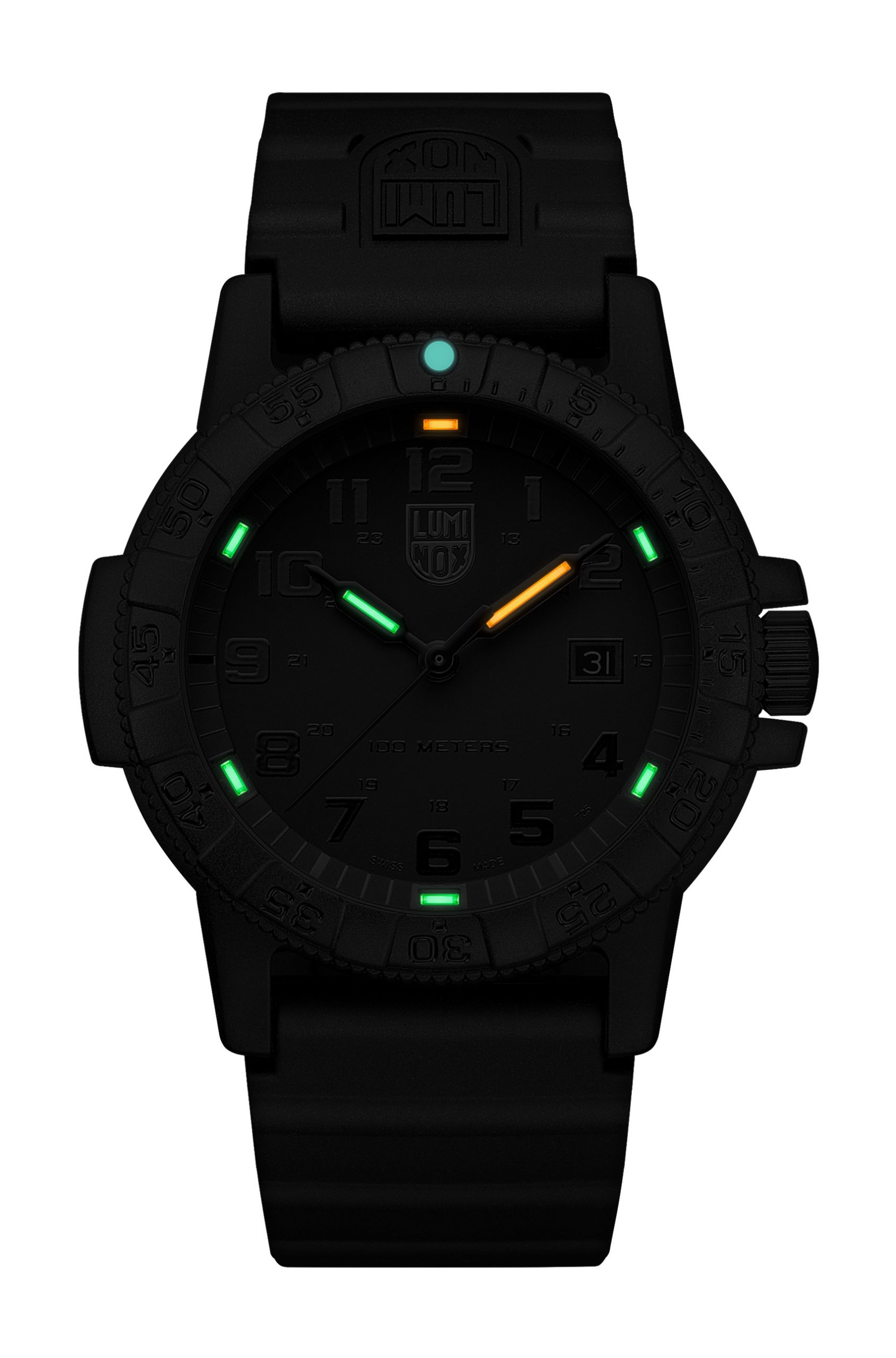 Luminox Leatherback Sea Turtle Giant 0320 Series - View 2
