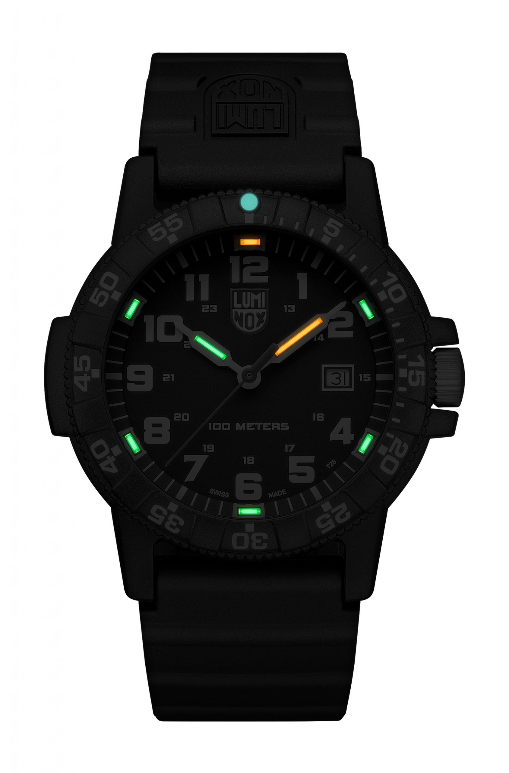 Luminox Leatherback Sea Turtle Giant 0320 Series - View 2