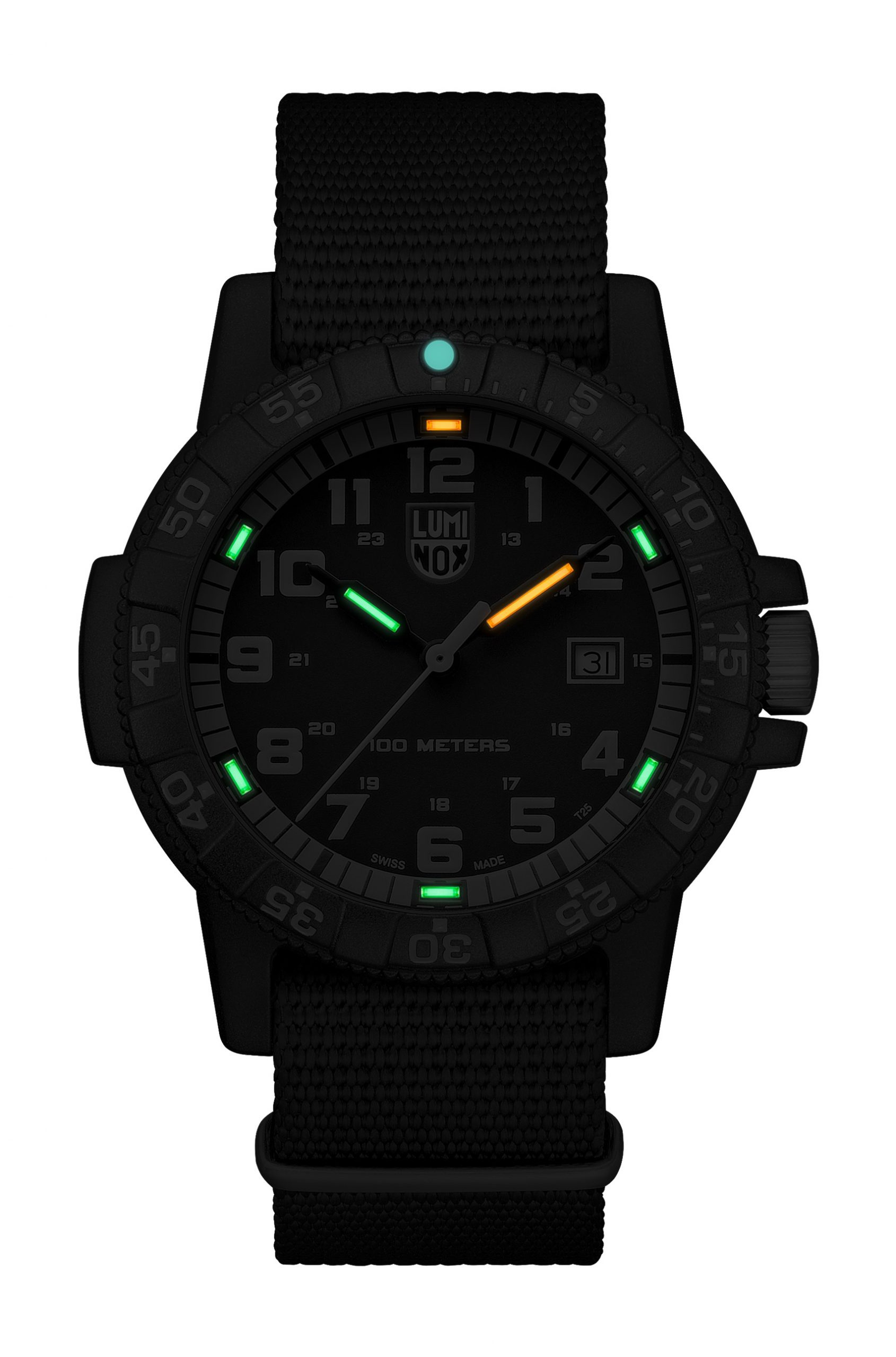 Luminox Leatherback Sea Turtle Giant 0320 Series - View 2