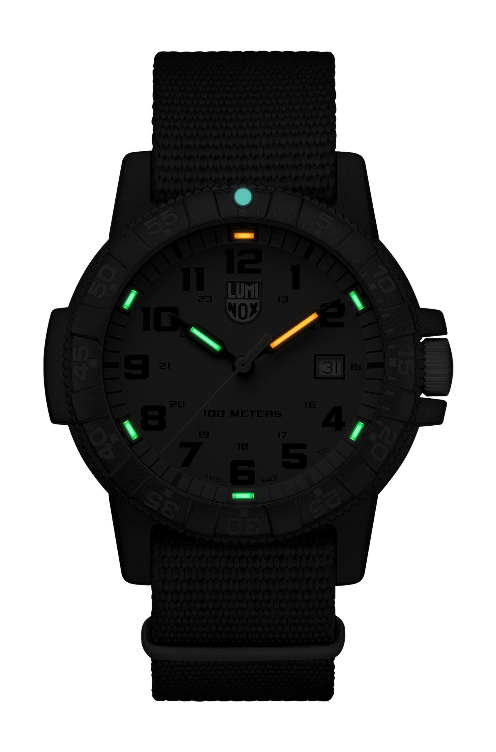 Luminox Leatherback Sea Turtle Giant 0320 Series - View 2