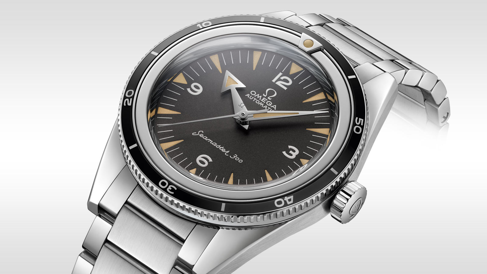 Omega Seamaster - View 2