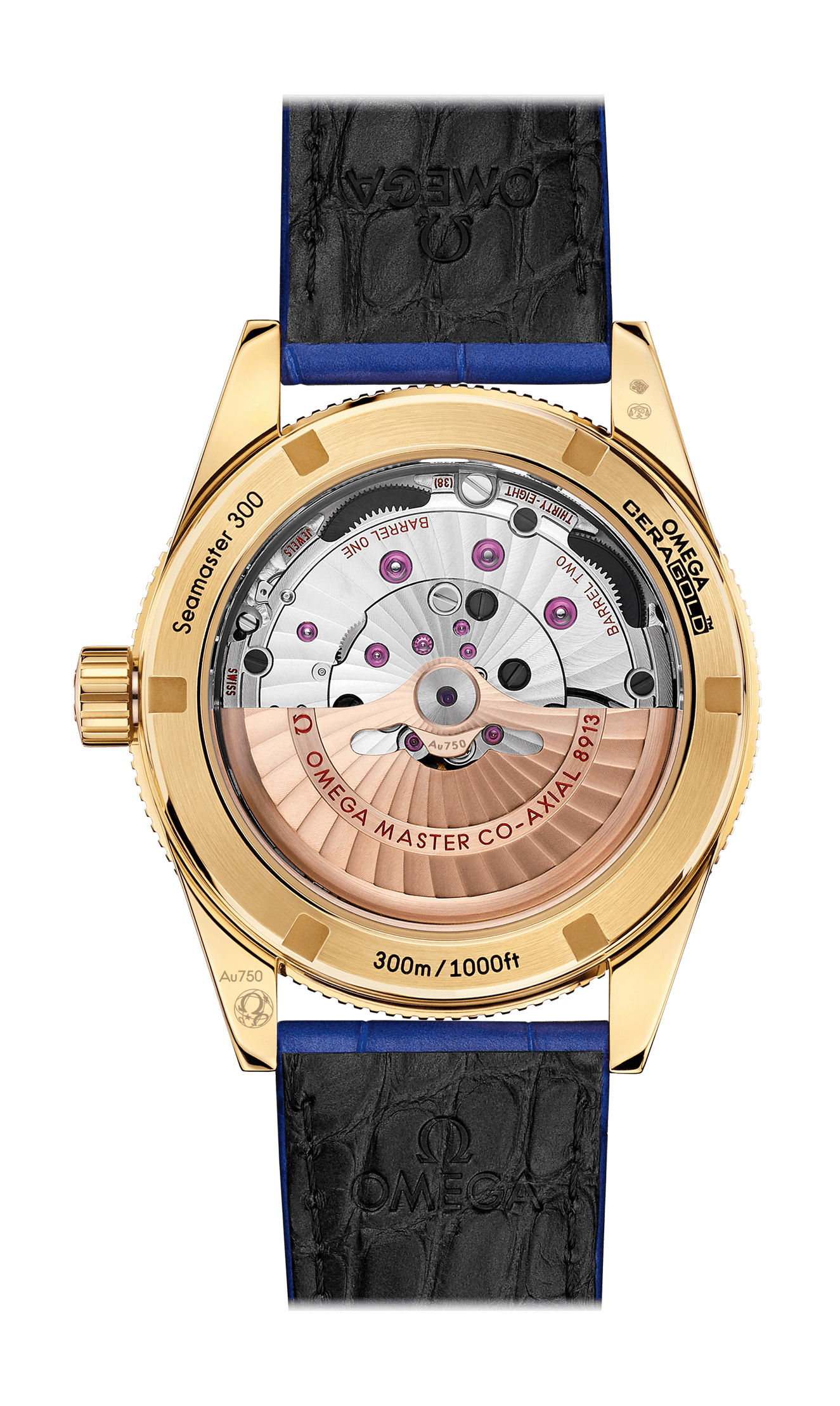 Omega Seamaster - View 2