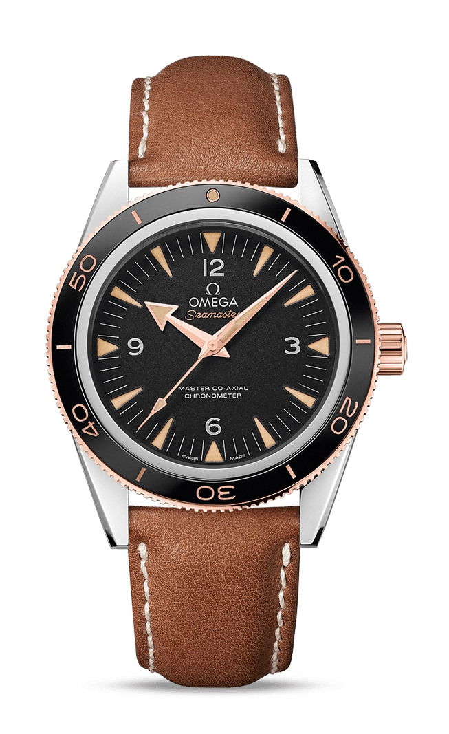 Omega Seamaster luxury timepiece - detailed view