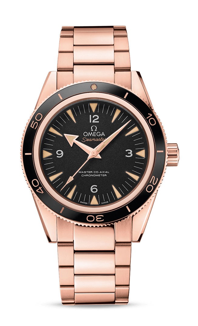 Omega Seamaster luxury timepiece - detailed view