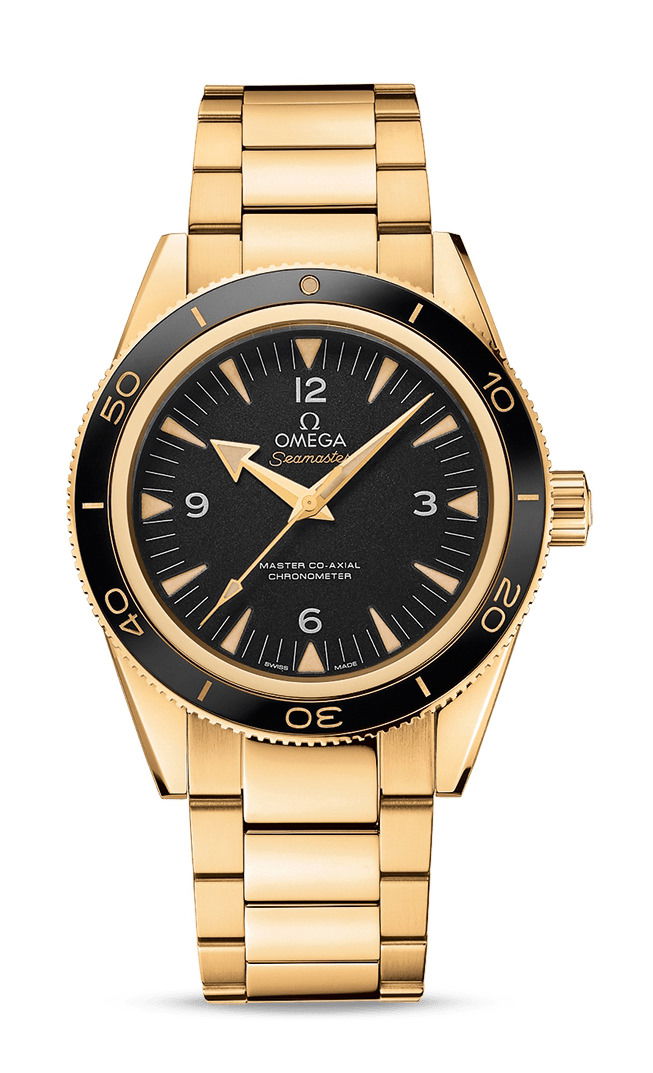 Omega Seamaster luxury timepiece - detailed view