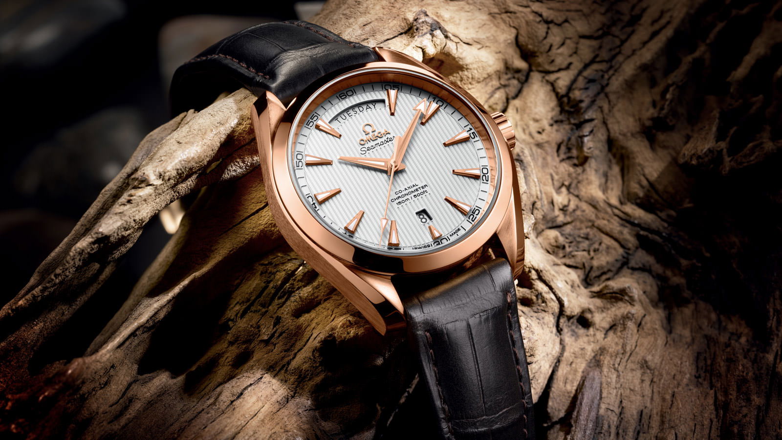 Omega Seamaster - View 3