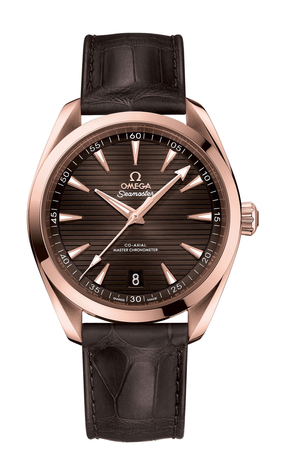 Omega Seamaster luxury timepiece - detailed view
