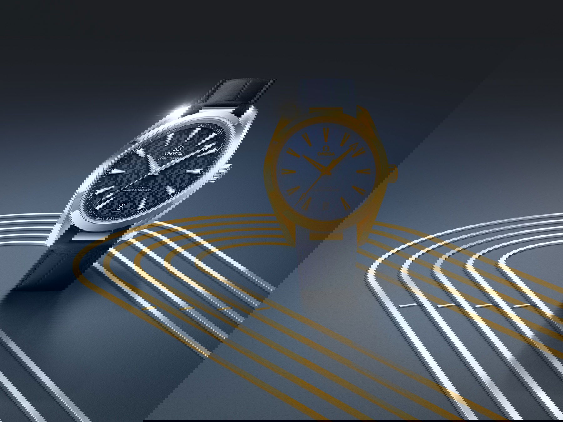 Omega Seamaster - View 2