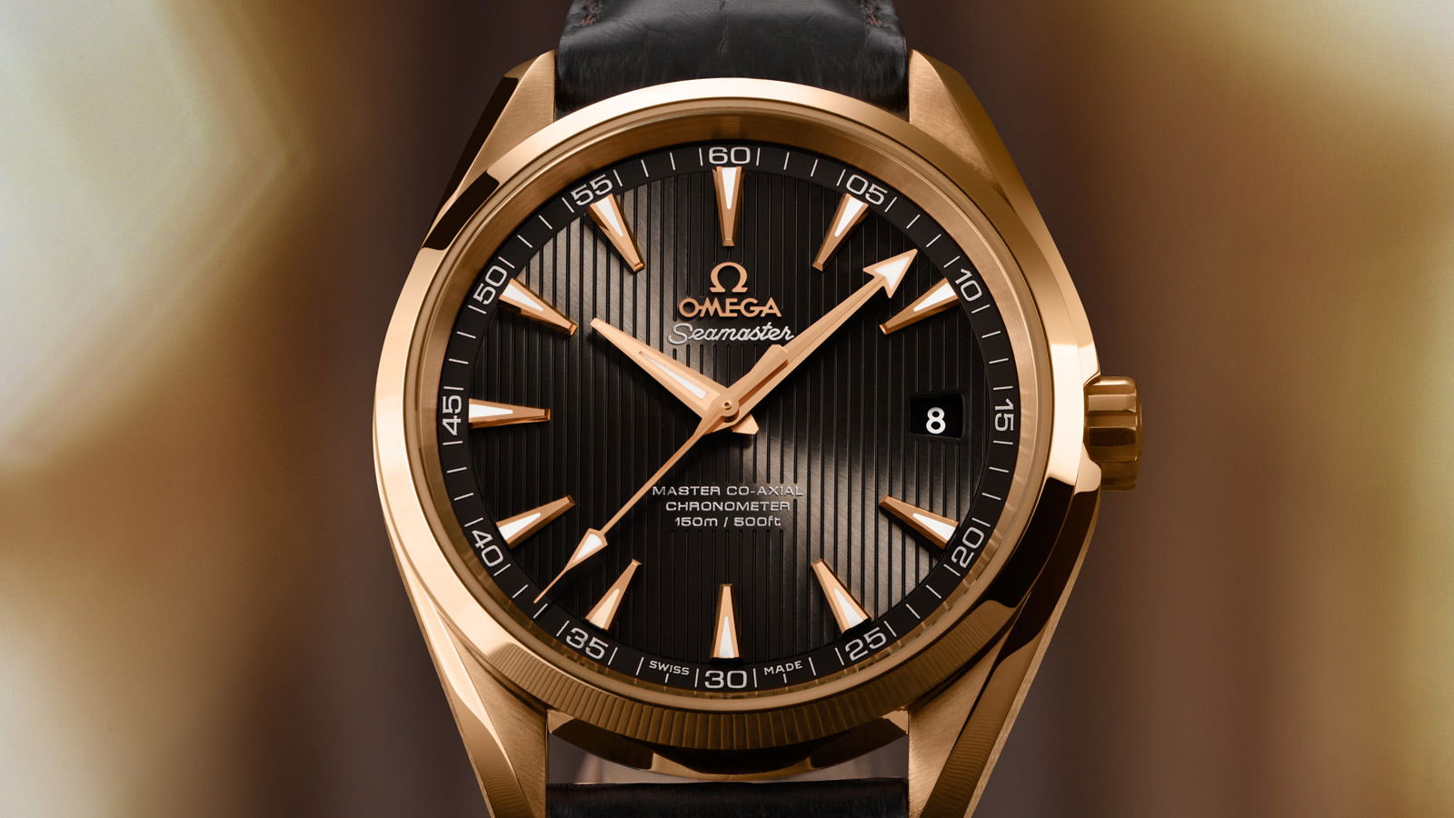 Omega Seamaster - View 3