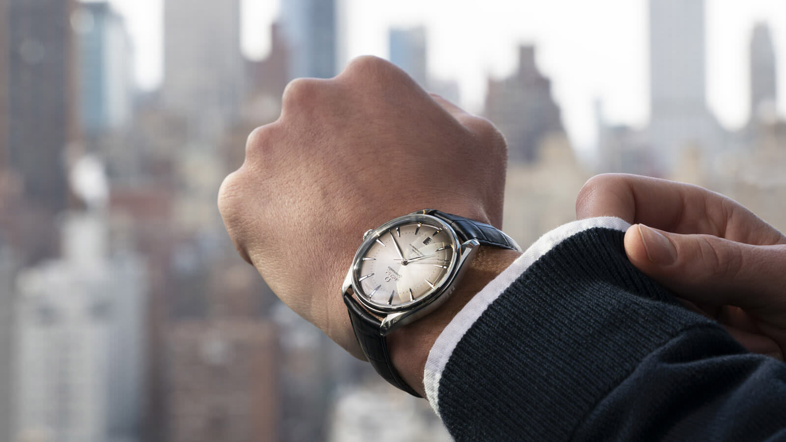 Omega Seamaster - View 3