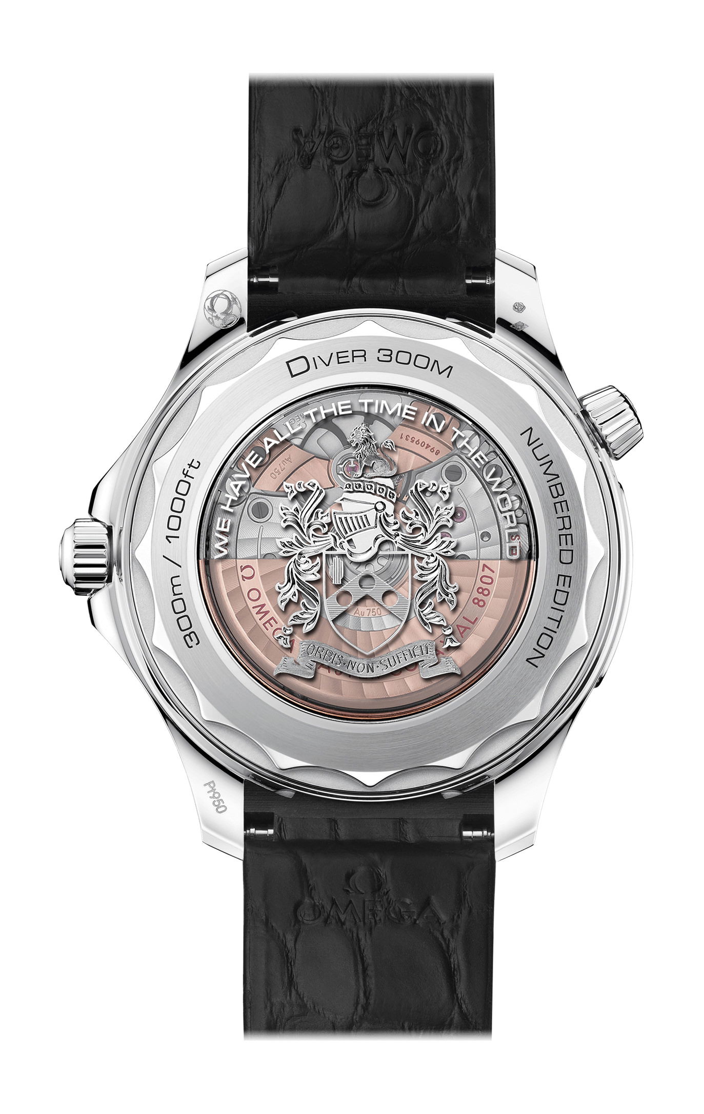 Omega Seamaster - View 2