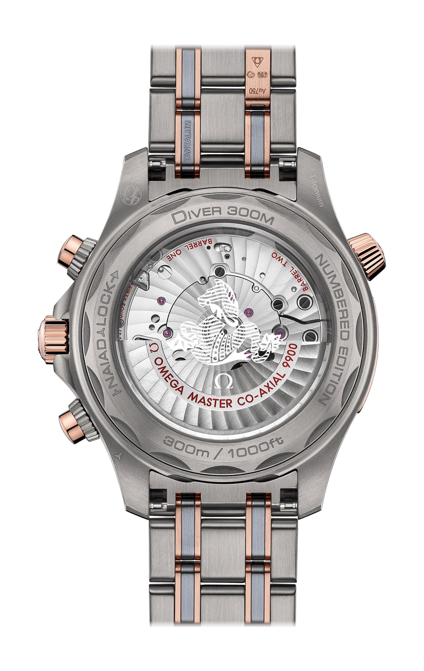 Omega Seamaster - View 2
