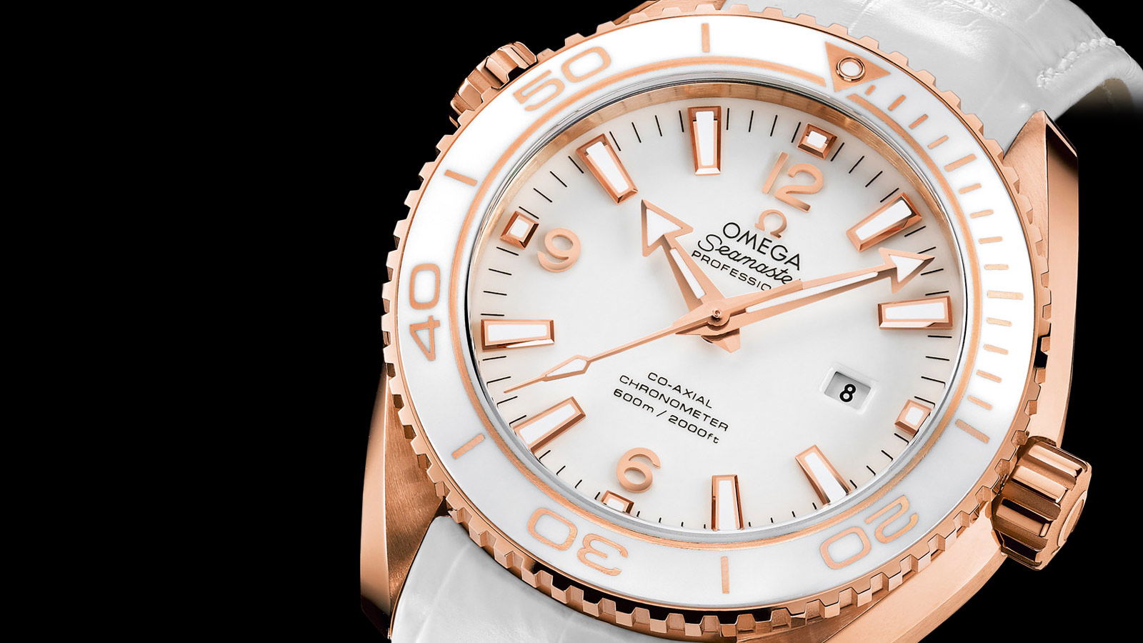 Omega Seamaster - View 2