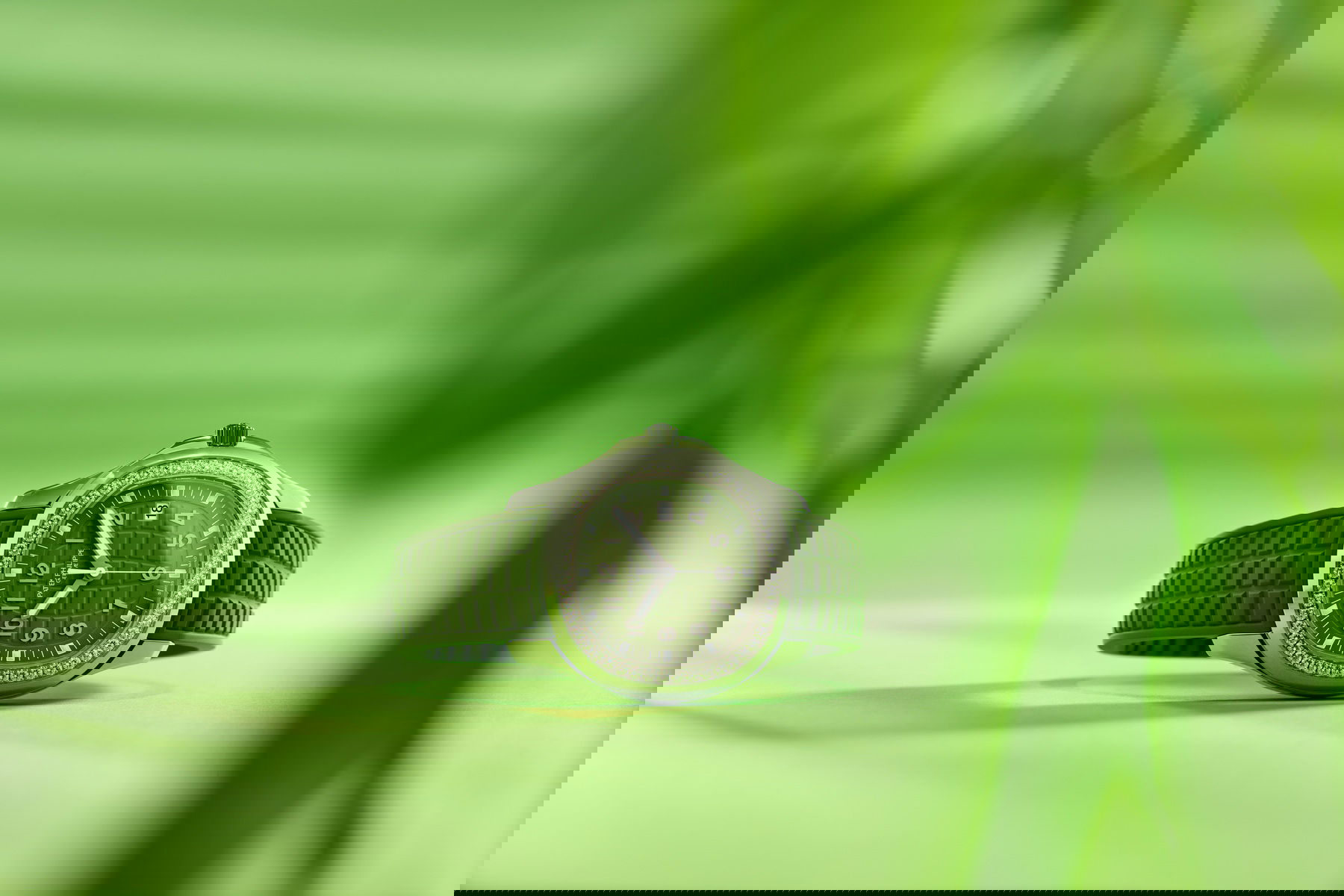 Patek Philippe Aquanaut Luce - View 2