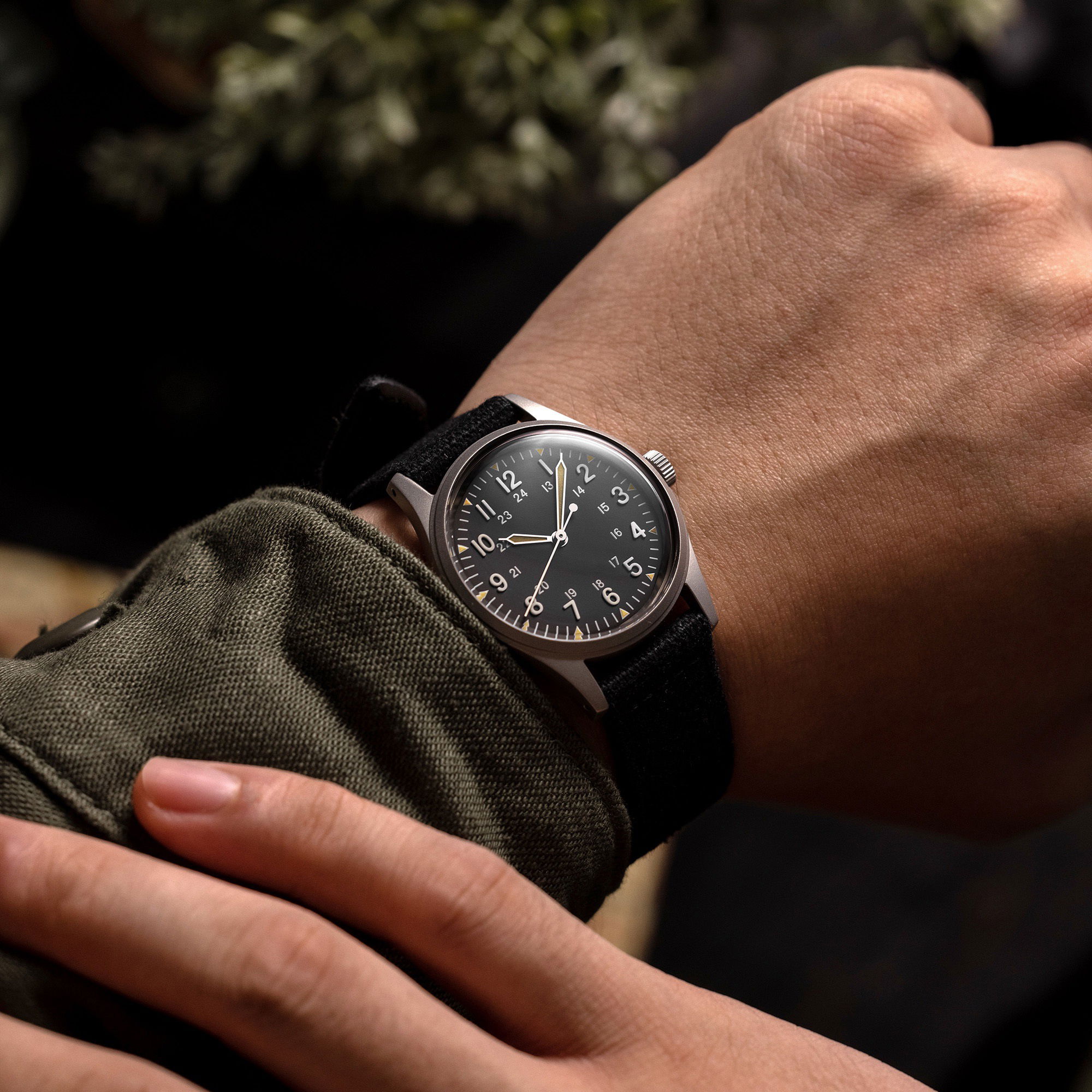 Praesidus Jungle Field – OG - View 2