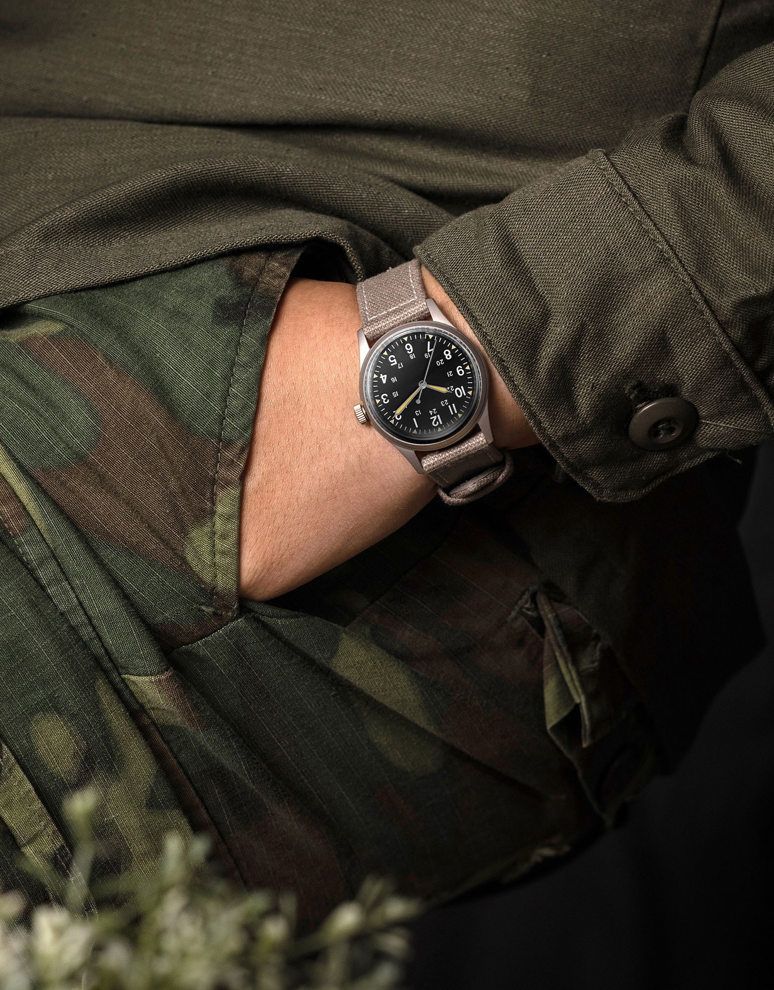 Praesidus Jungle Field – OG - View 3