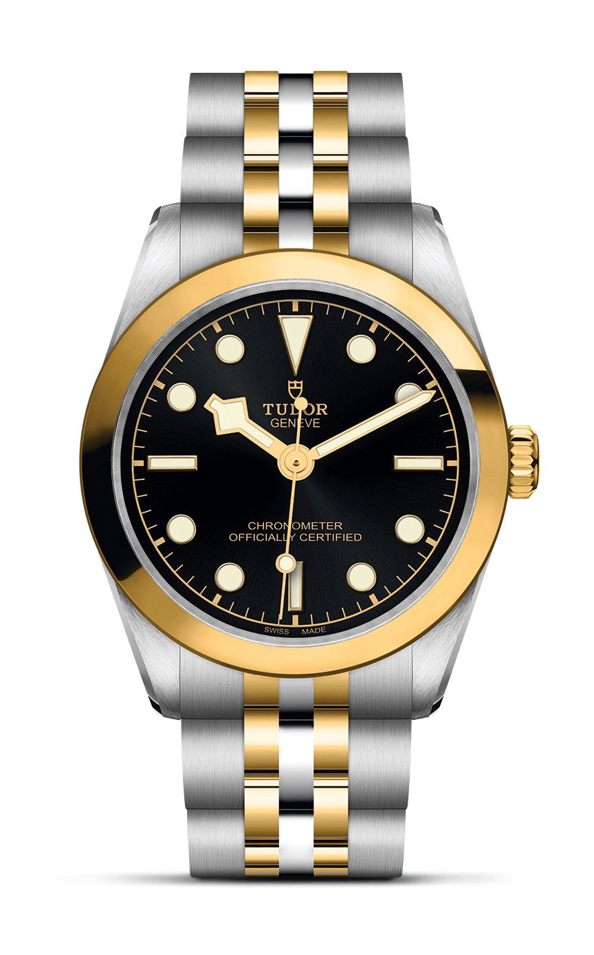 TUDOR Black Bay 31 S&G luxury timepiece - detailed view