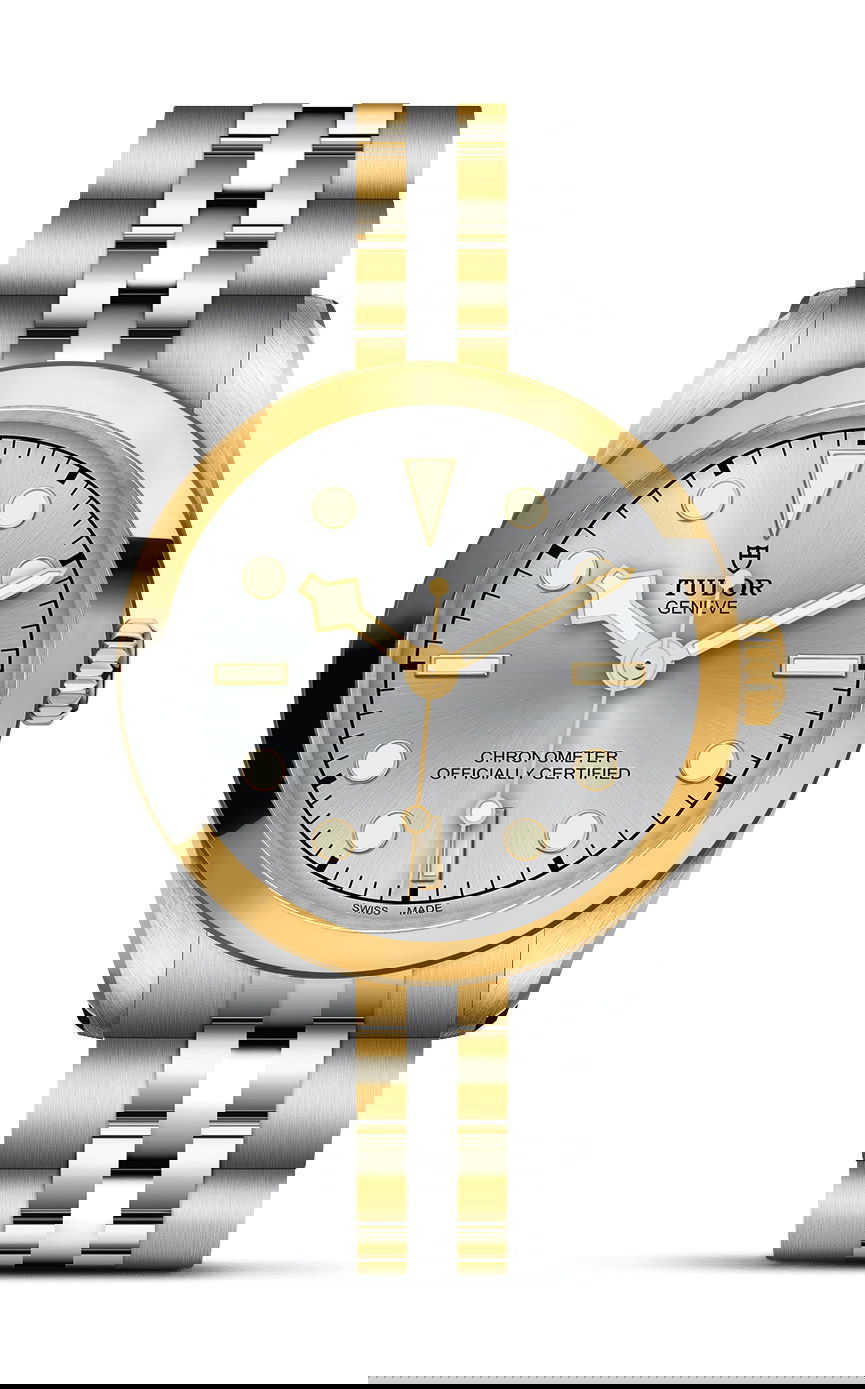 TUDOR Black Bay 31 S&G luxury timepiece - detailed view