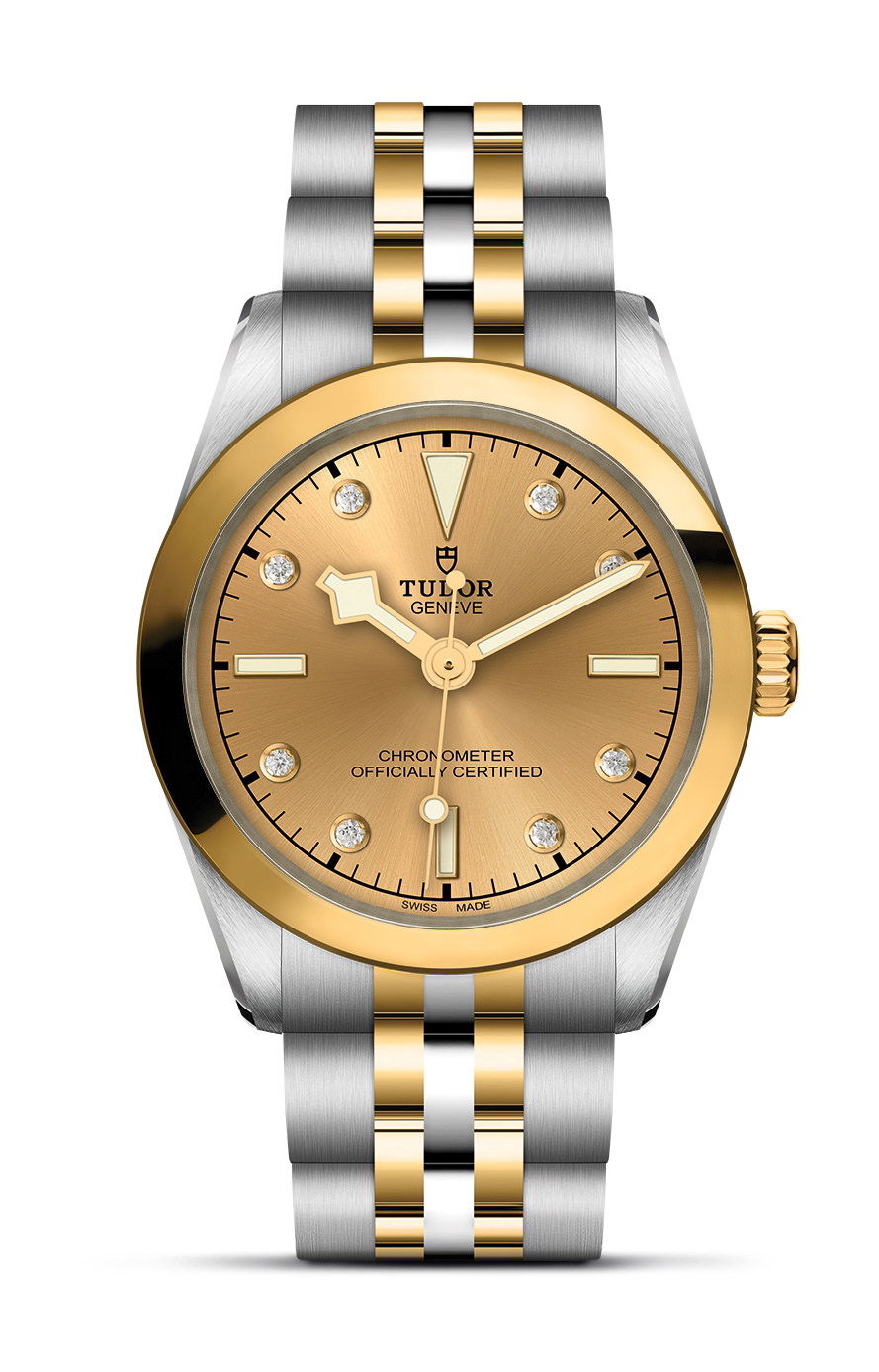 TUDOR Black Bay 31 S&G luxury timepiece - detailed view
