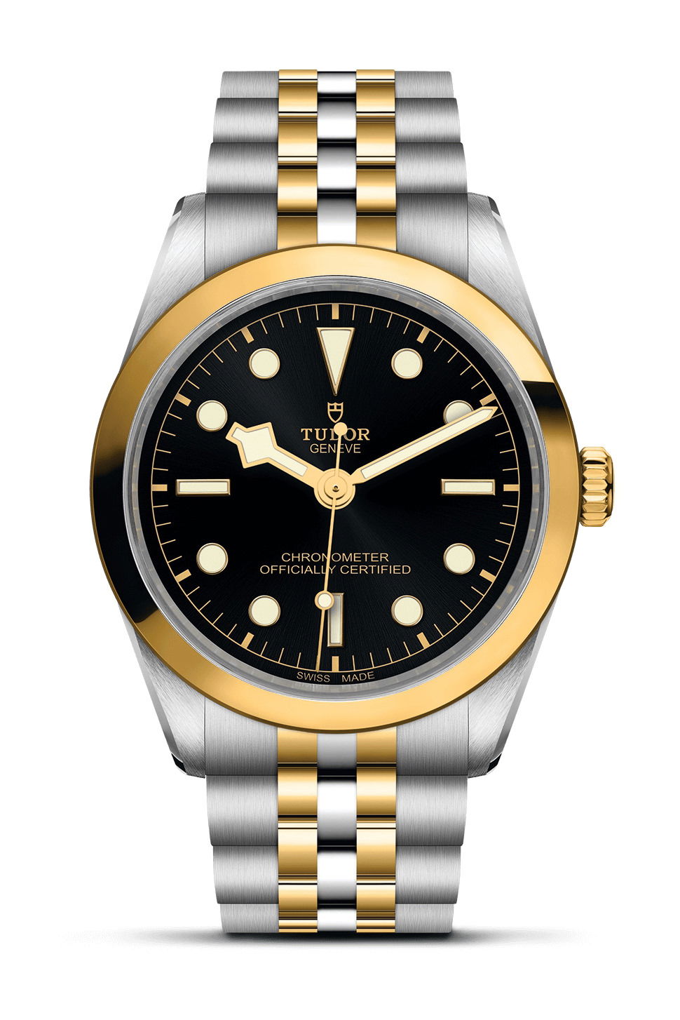 TUDOR Black Bay 36 S&G luxury timepiece - detailed view