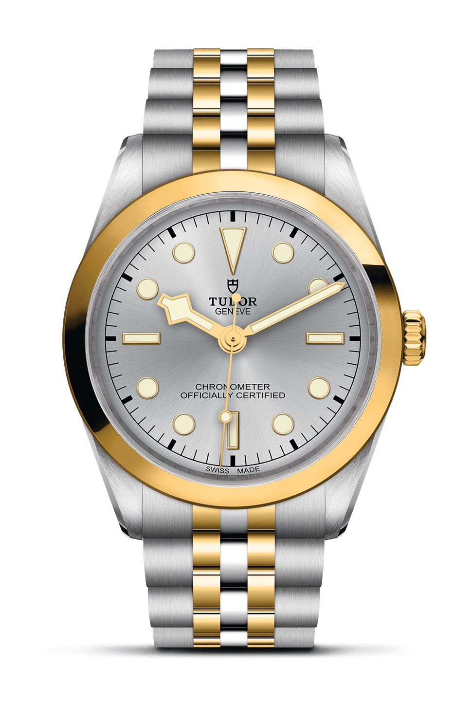 TUDOR Black Bay 36 S&G luxury timepiece - detailed view