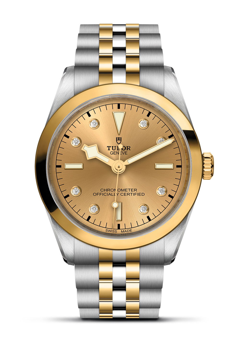 TUDOR Black Bay 36 S&G luxury timepiece - detailed view