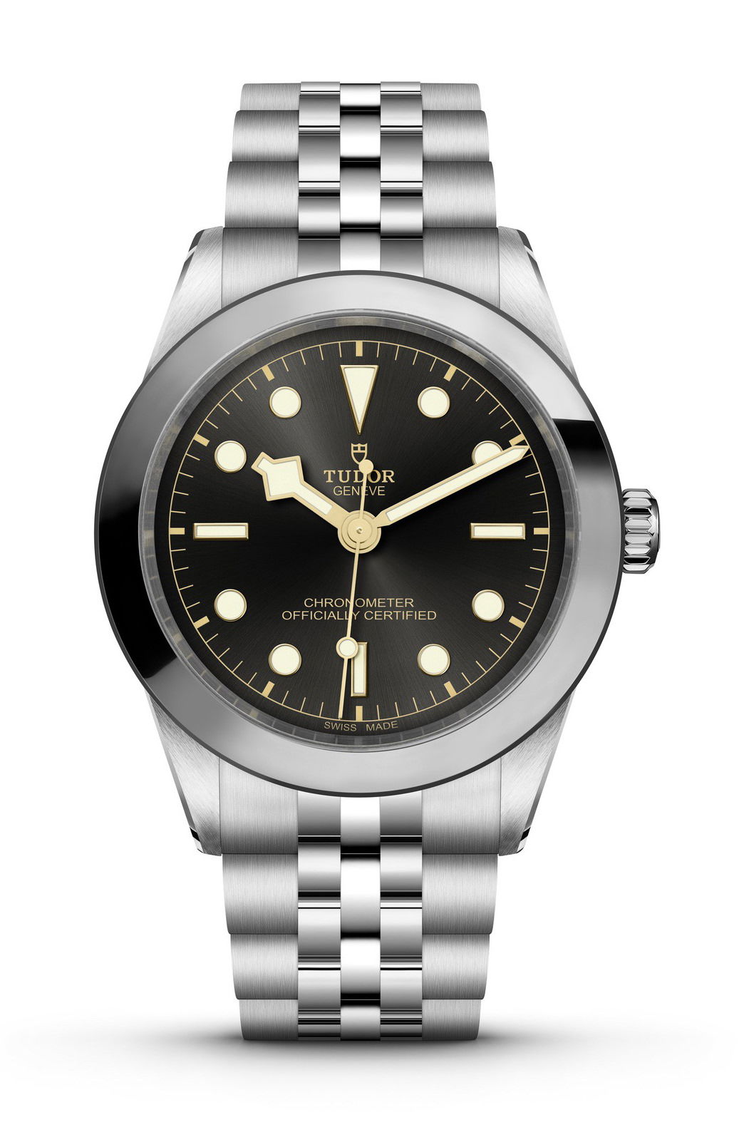 TUDOR Black Bay 39 luxury timepiece - detailed view