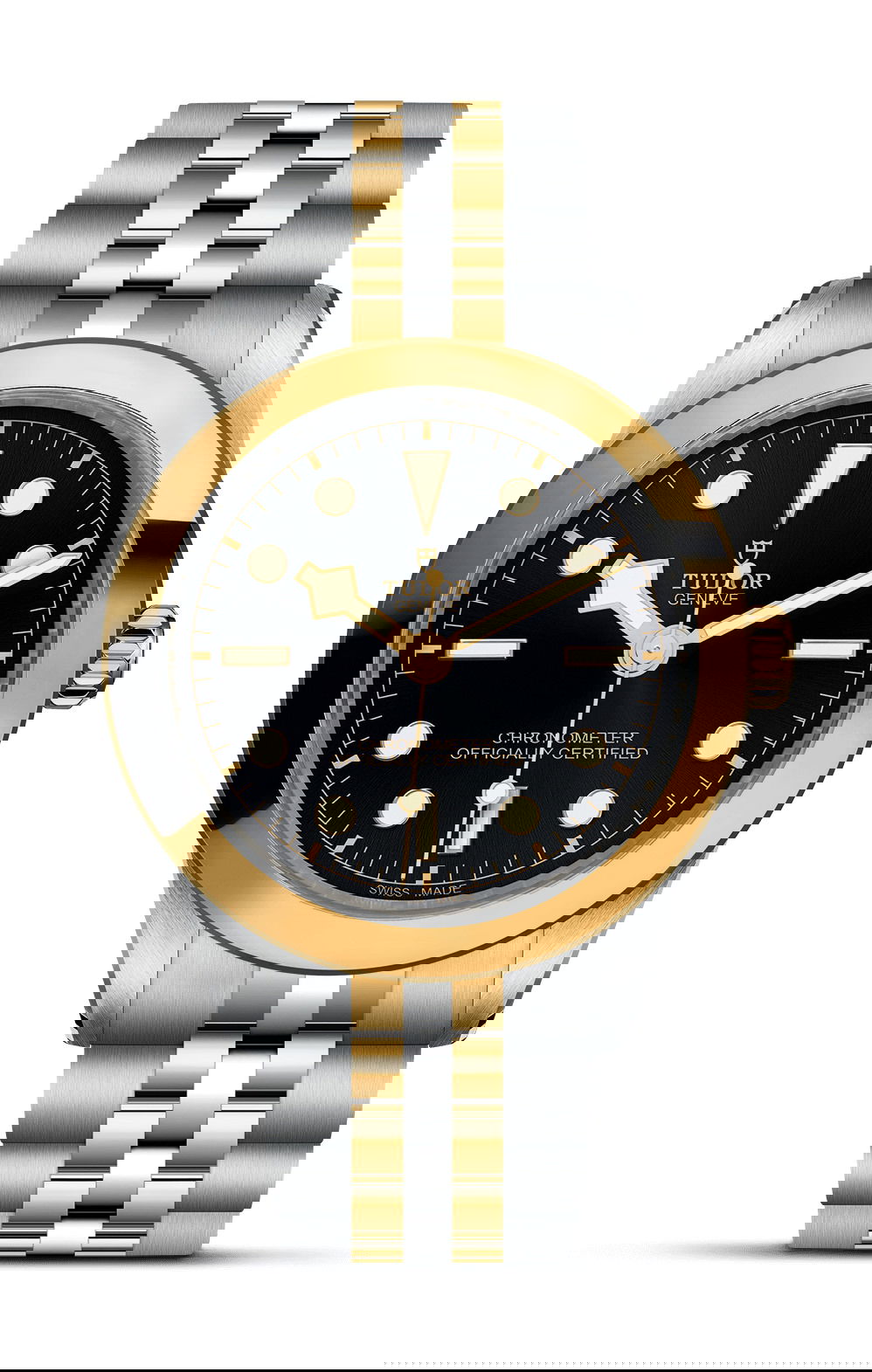 TUDOR Black Bay 39 S&G luxury timepiece - detailed view